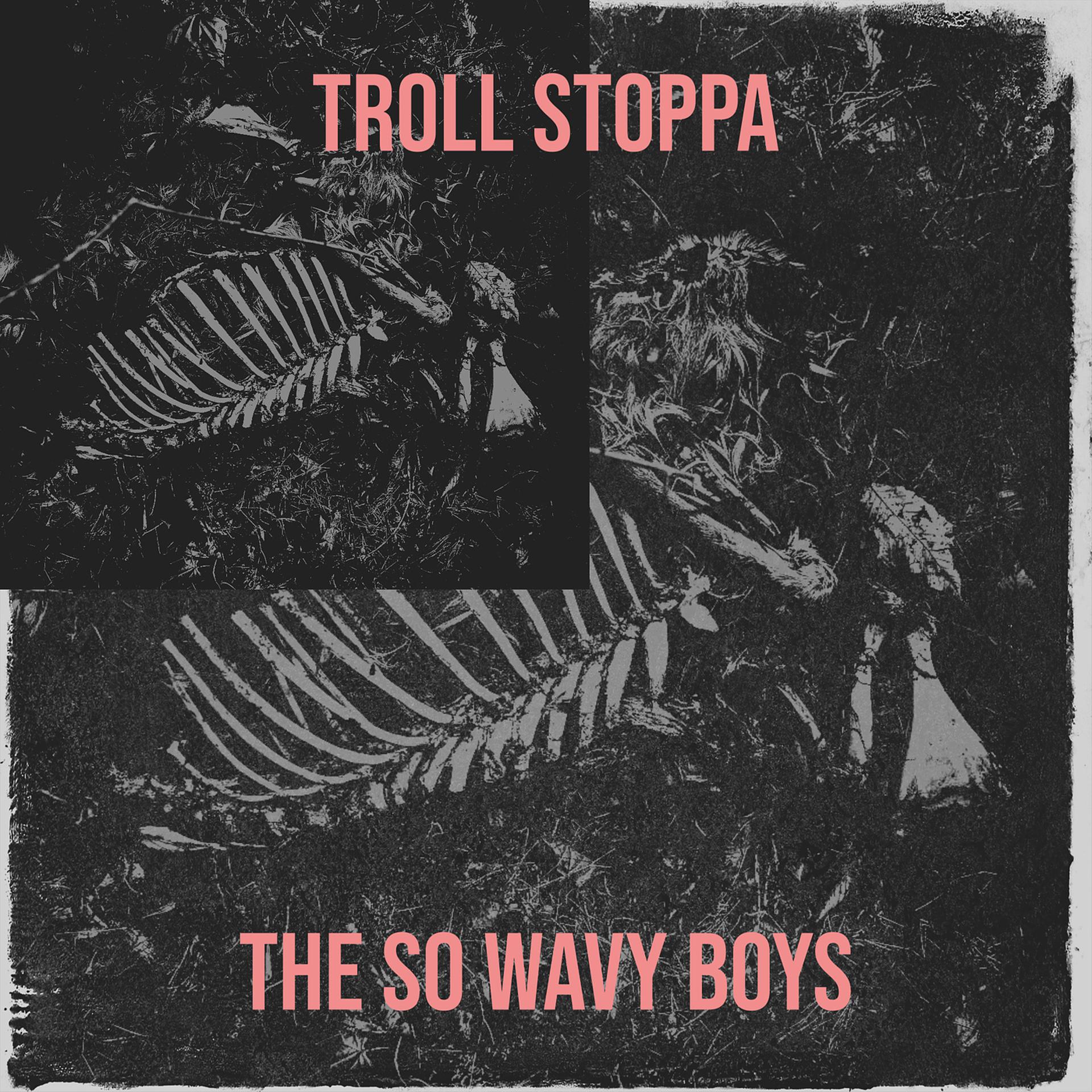 Постер альбома Troll Stoppa