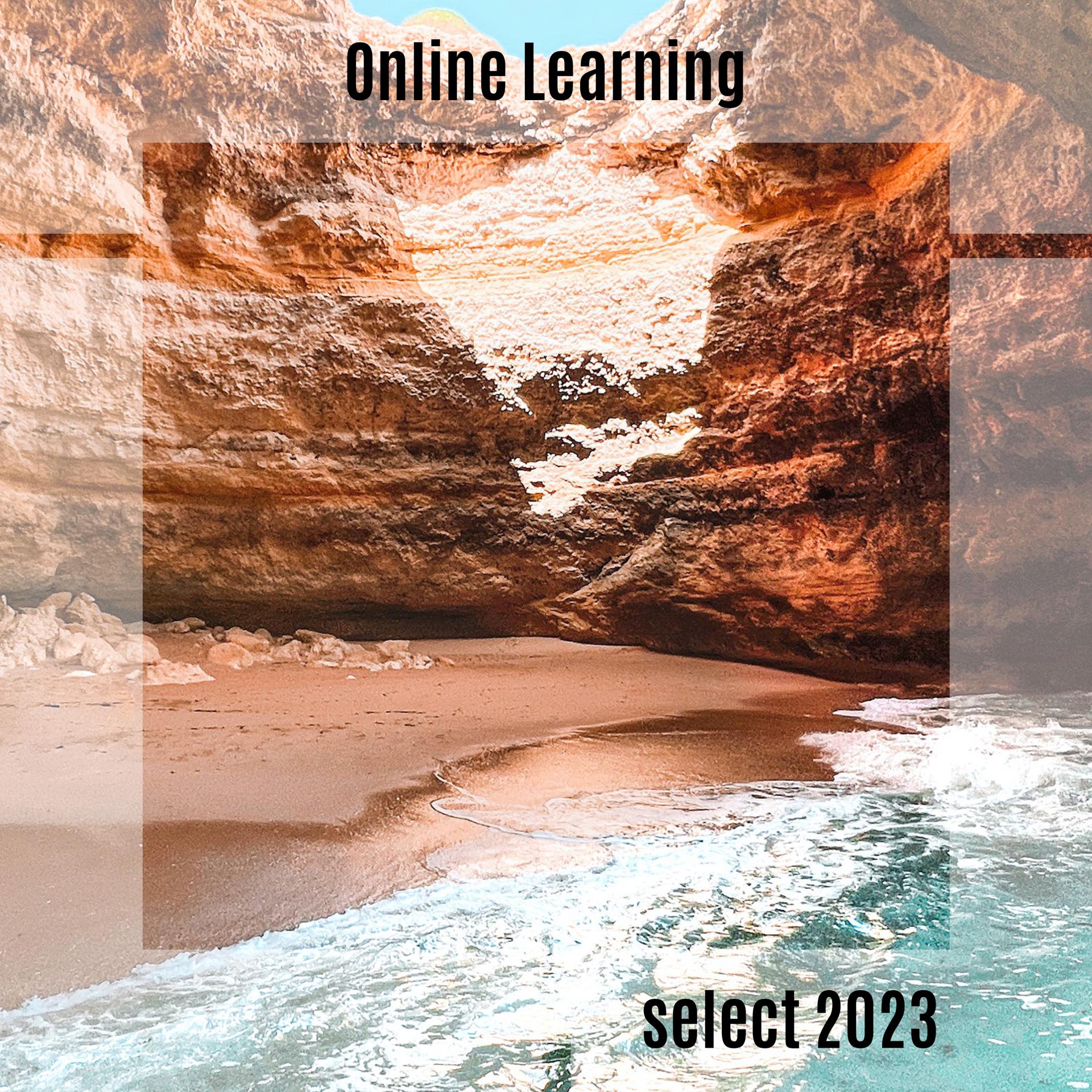 Постер альбома Online Learning Select 2023