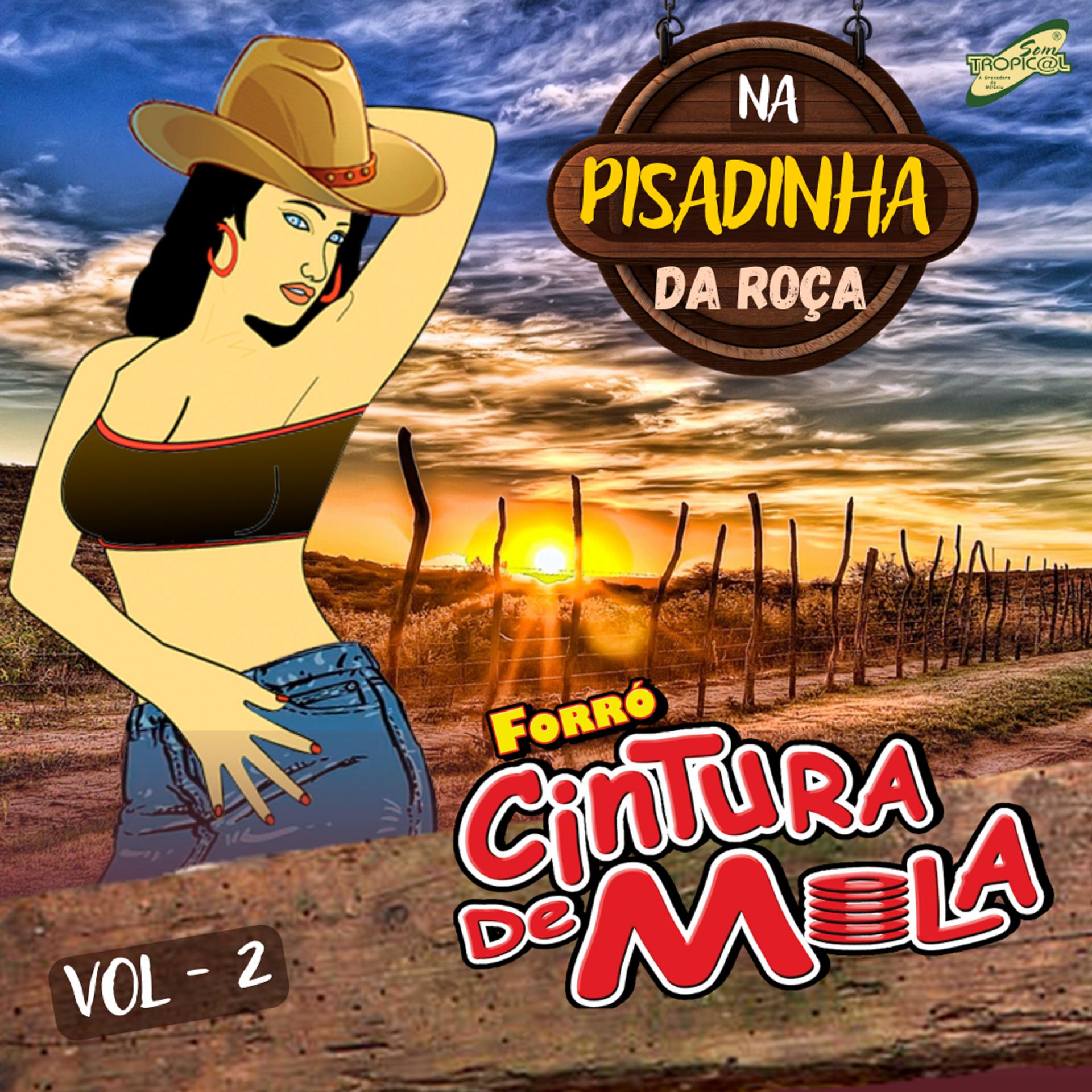 Постер альбома Na Pisadinha da Roça Vol,2
