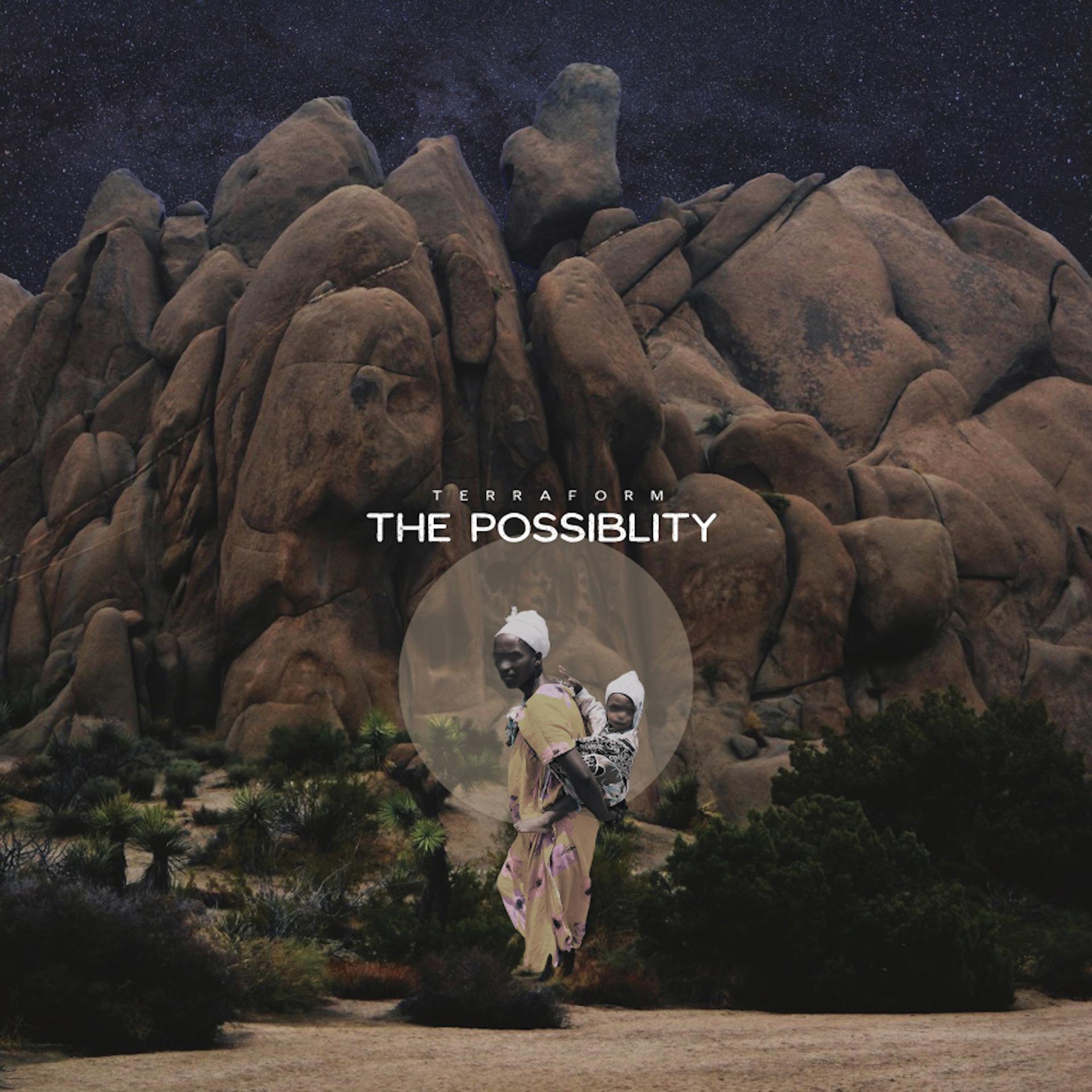 Постер альбома Terraform: The Possibility