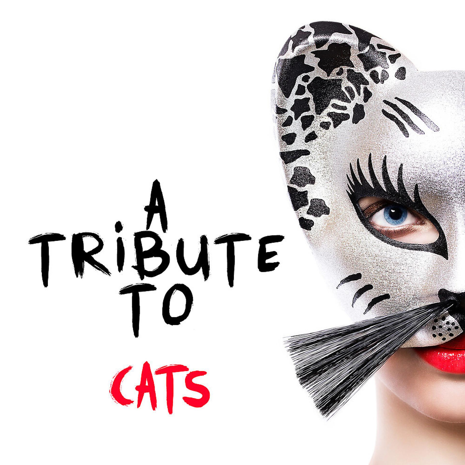 Постер альбома A Tribute to Cats
