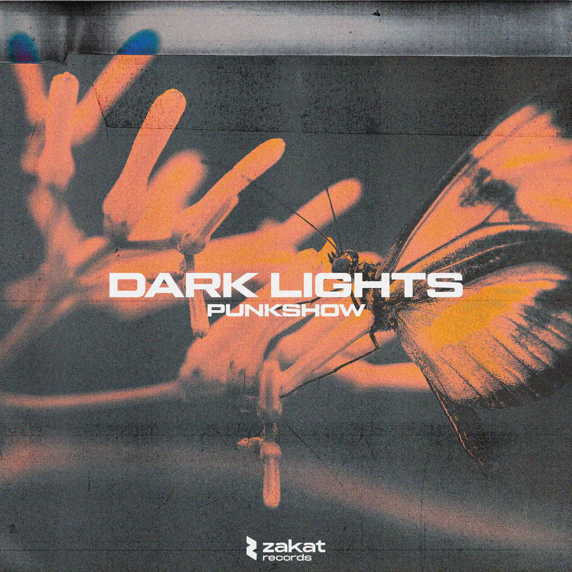 Постер альбома Dark Lights