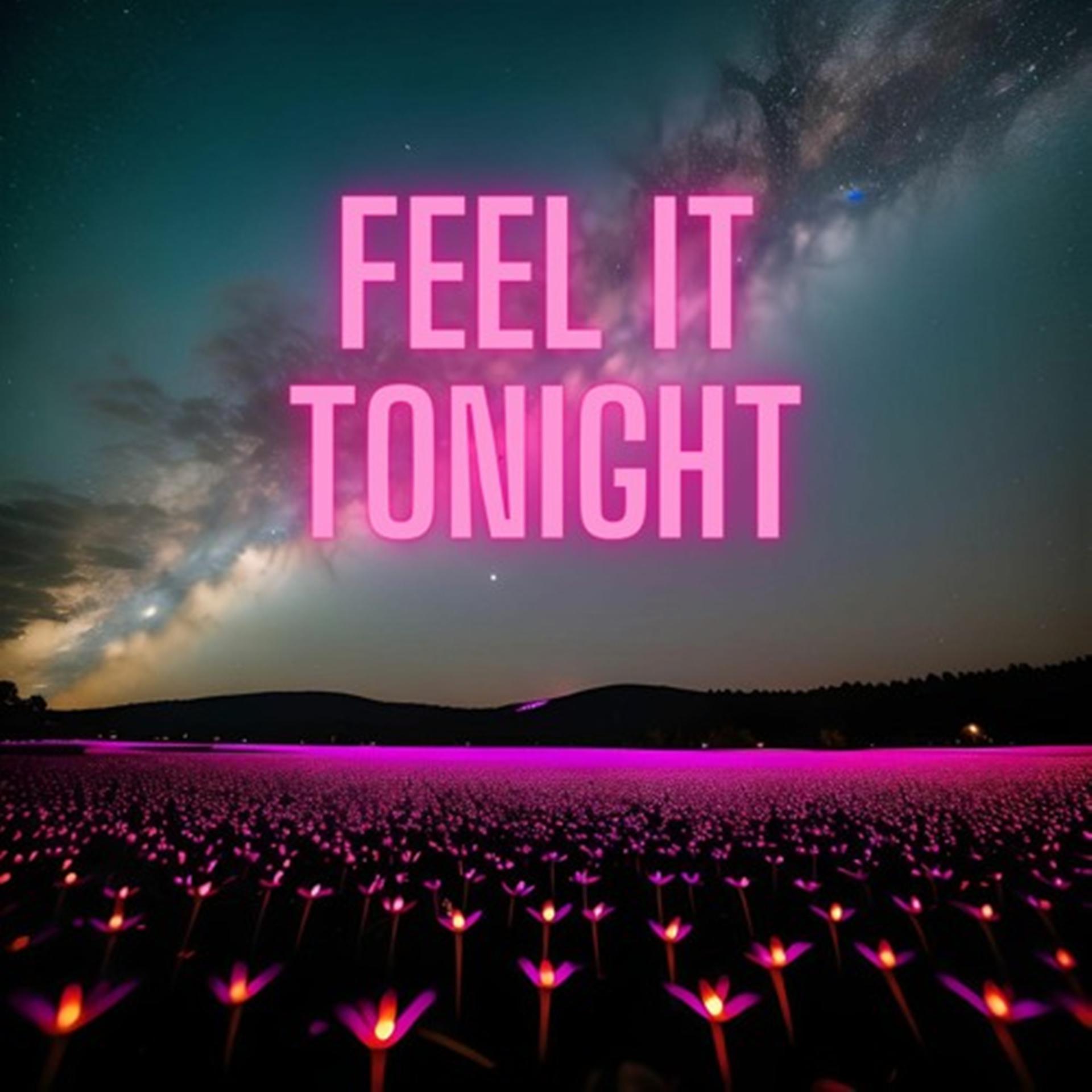 Постер альбома Feel It Tonight