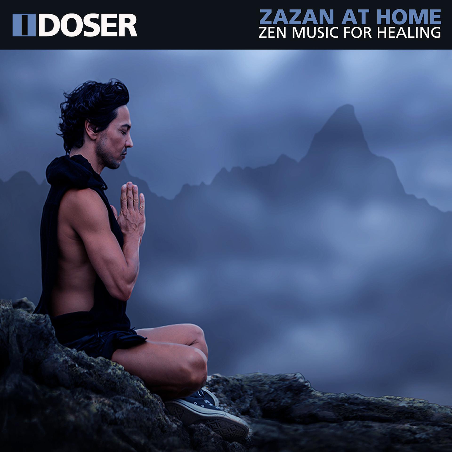 Постер альбома Zazen at Home Zen Music for Healing