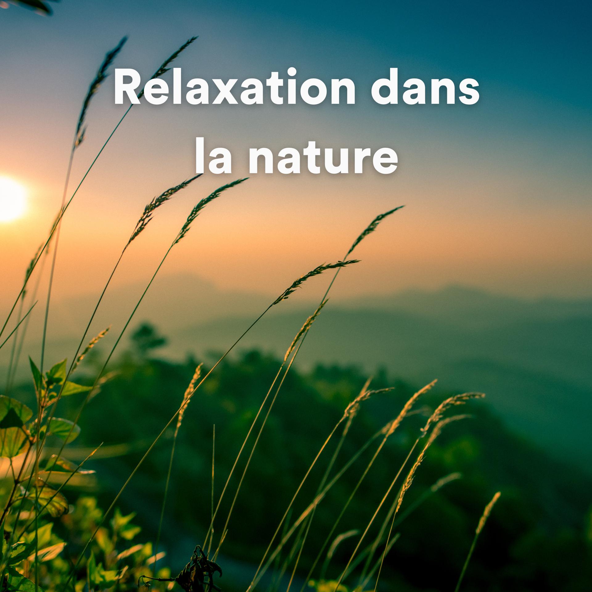 Постер альбома Relaxation dans la nature