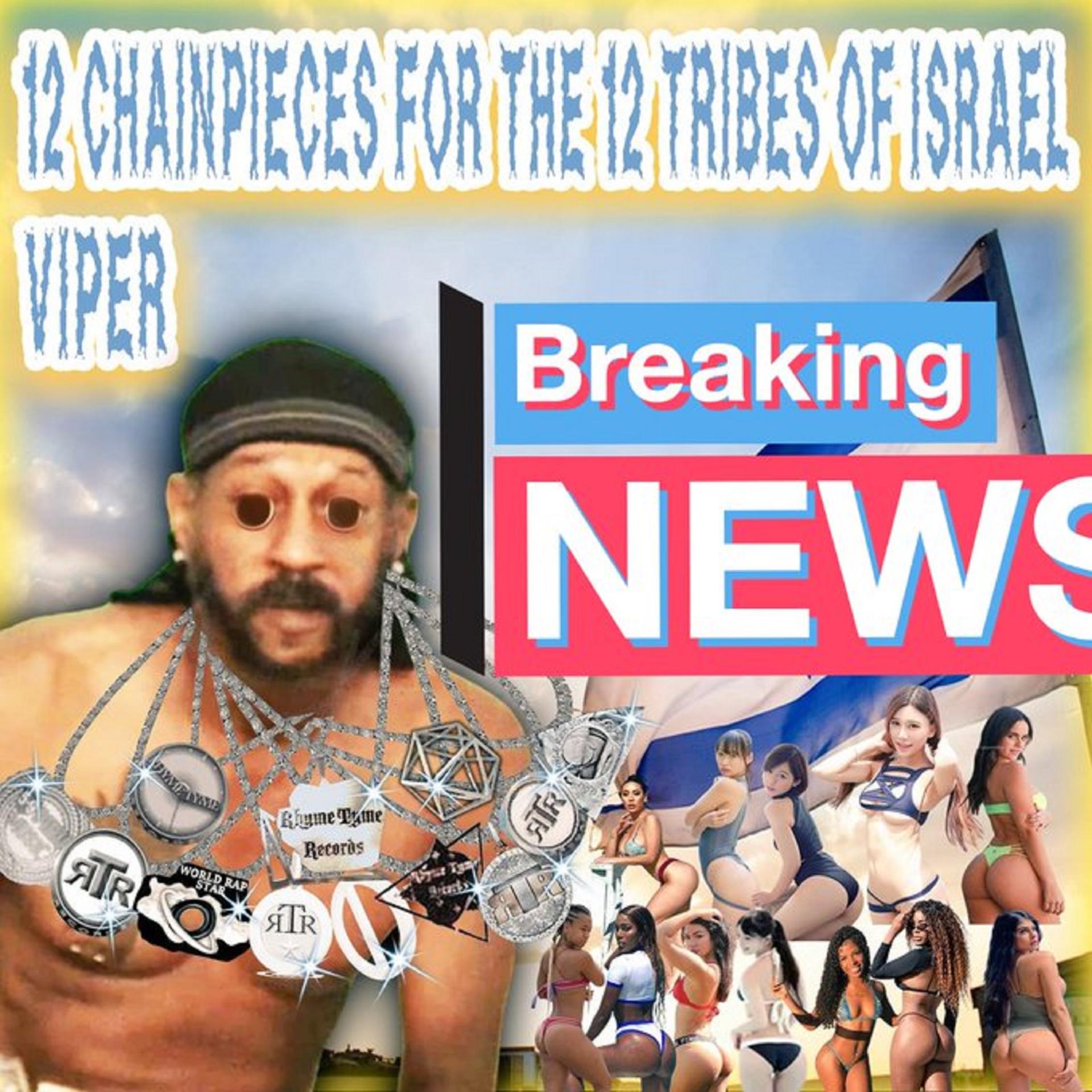 Постер альбома 12 CHAINPIECES FOR THE 12 TRIBES OF ISRAEL