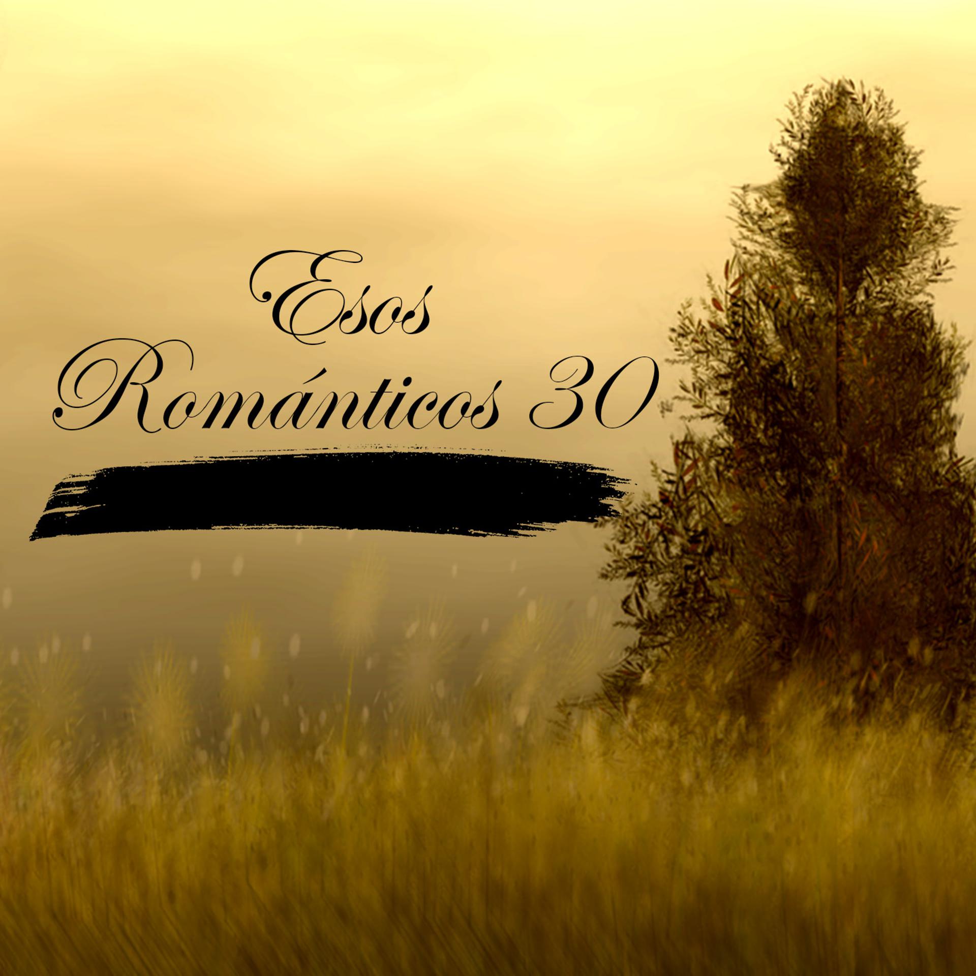 Постер альбома Esos Románticos 30