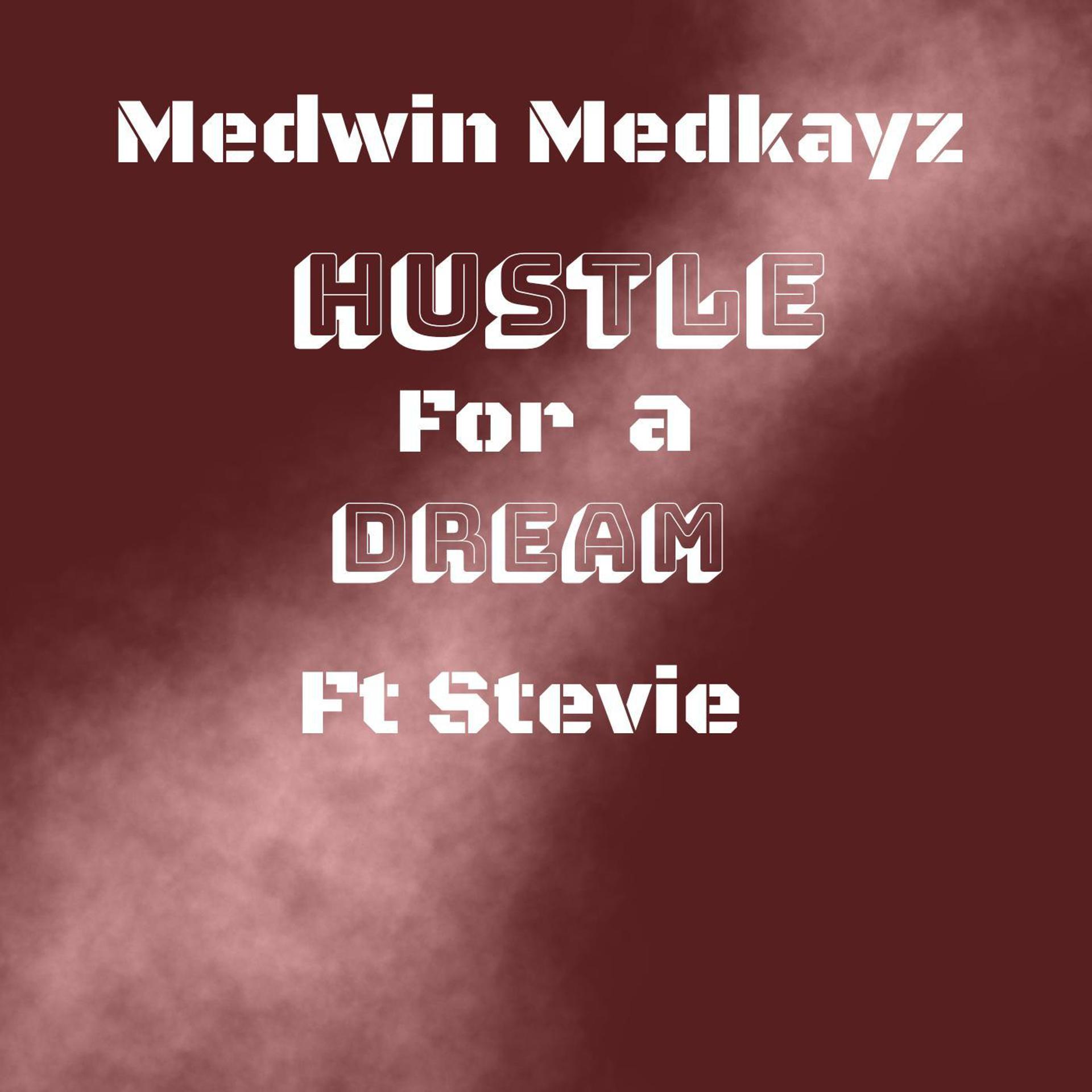 Постер альбома Hustle for a dream (feat. Stevie)