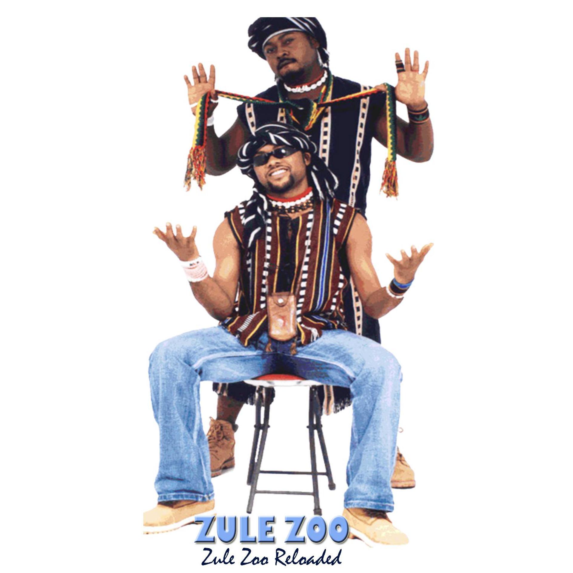Постер альбома Zule Zoo Reloaded