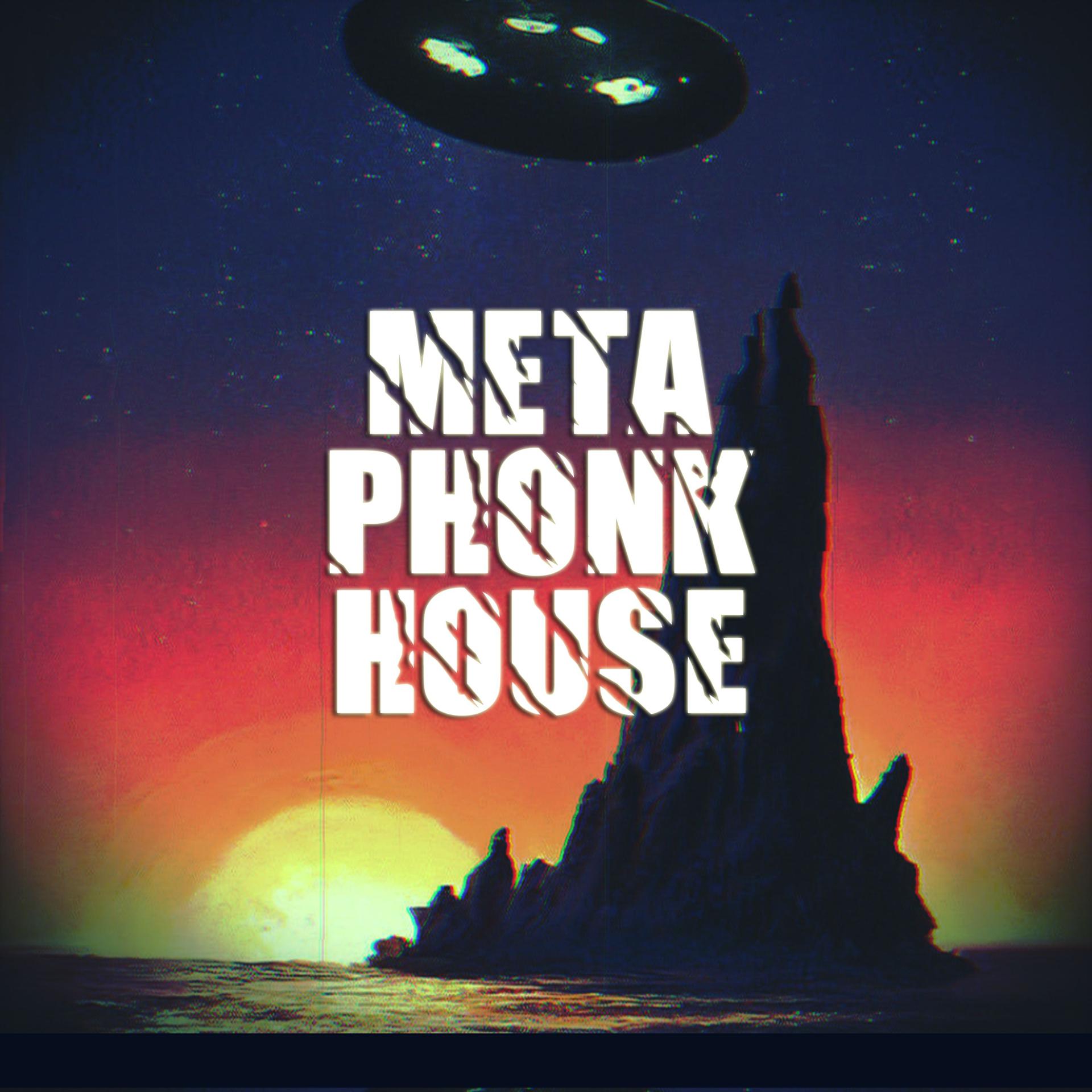 Постер альбома META PHONK HOUSE