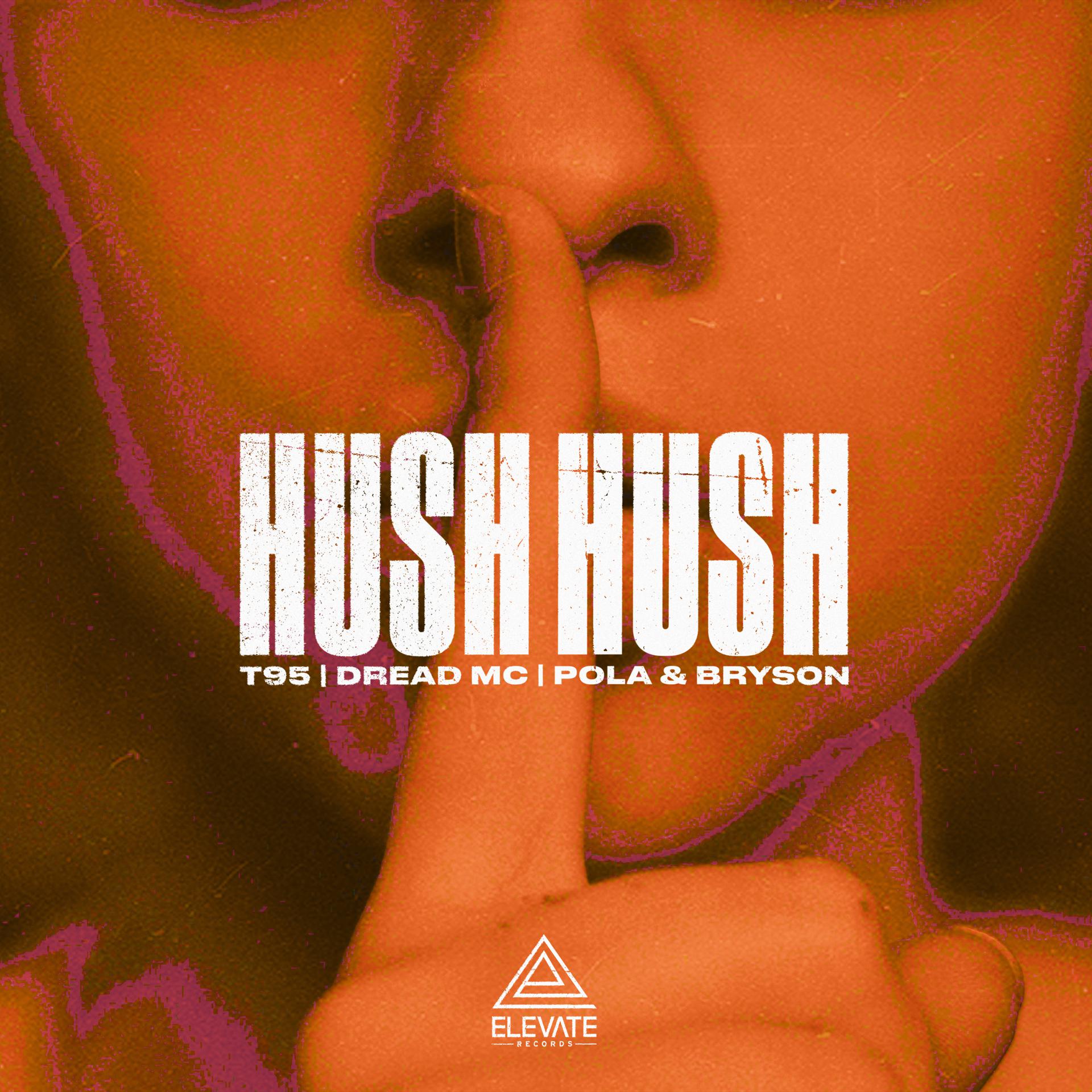 Постер альбома Hush Hush