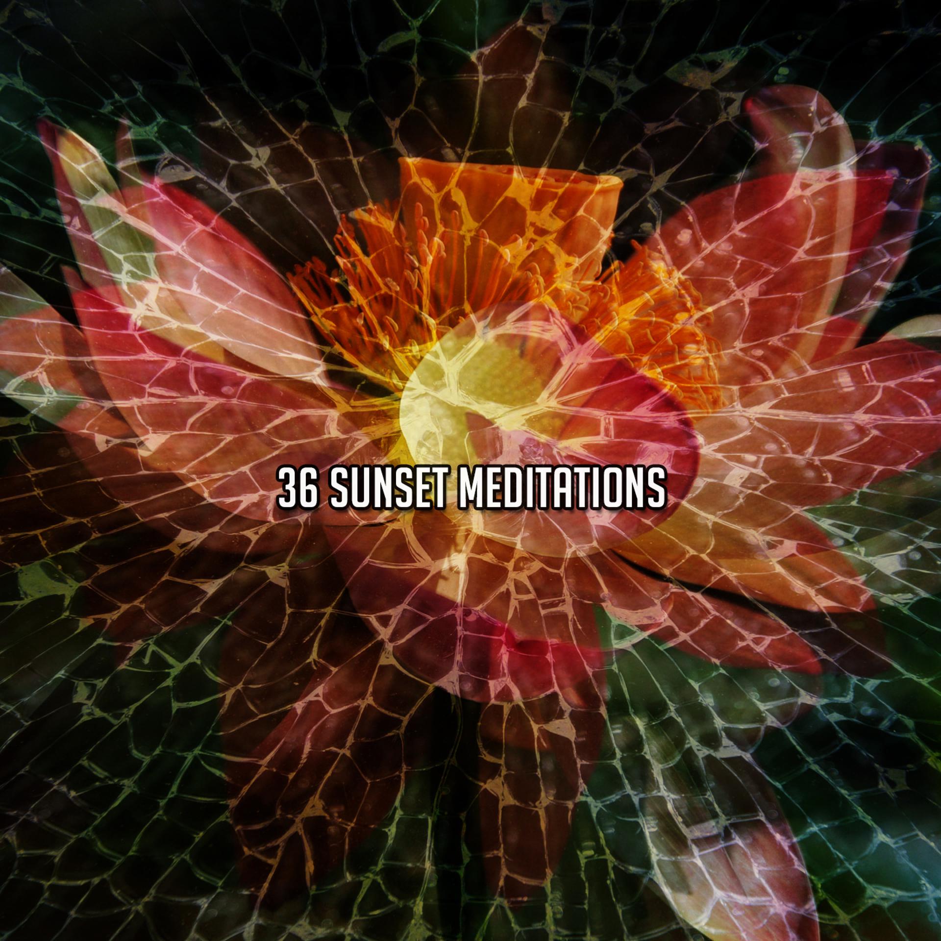 Постер альбома 36 Sunset Meditations