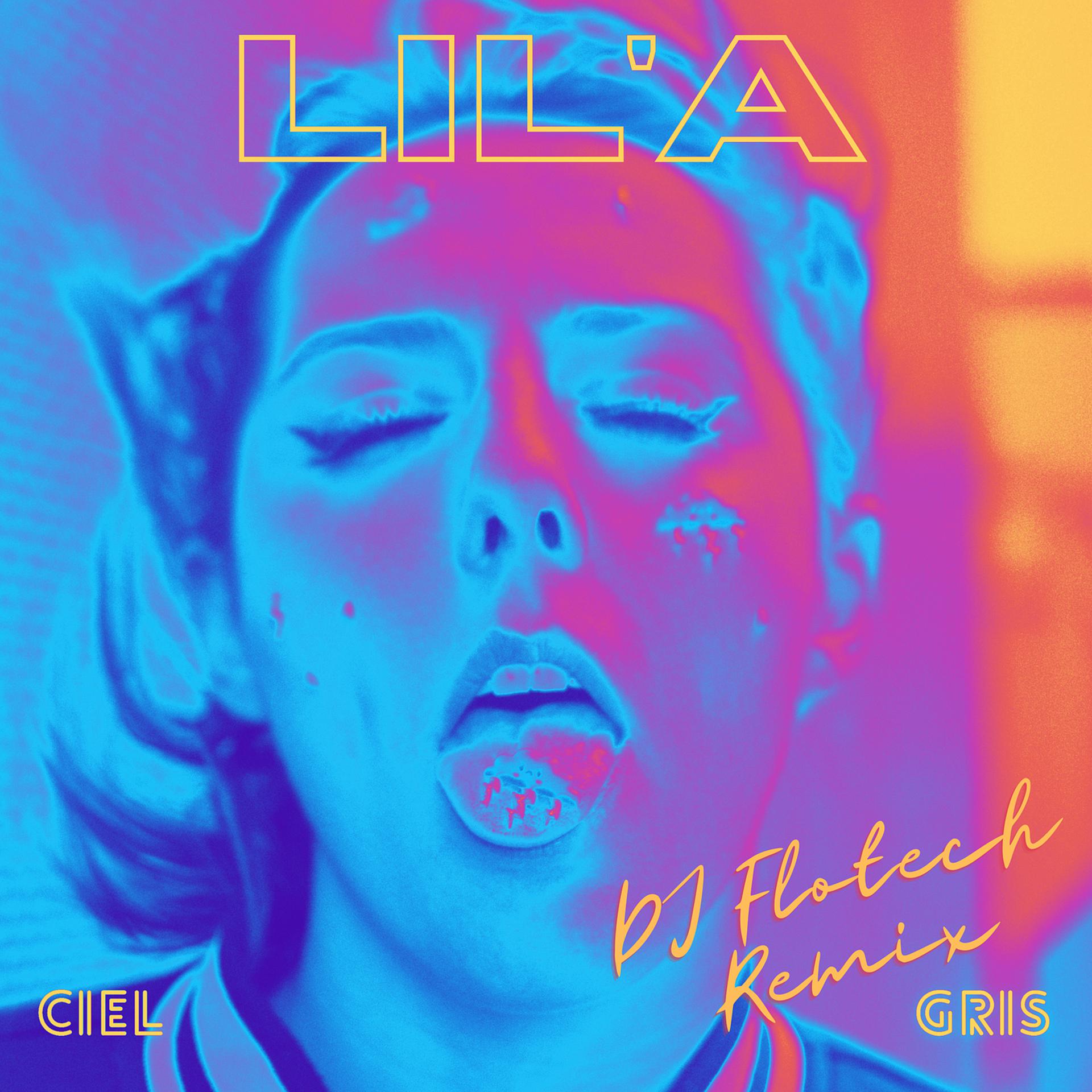 Постер альбома Ciel gris (DJ Flotech Remix)