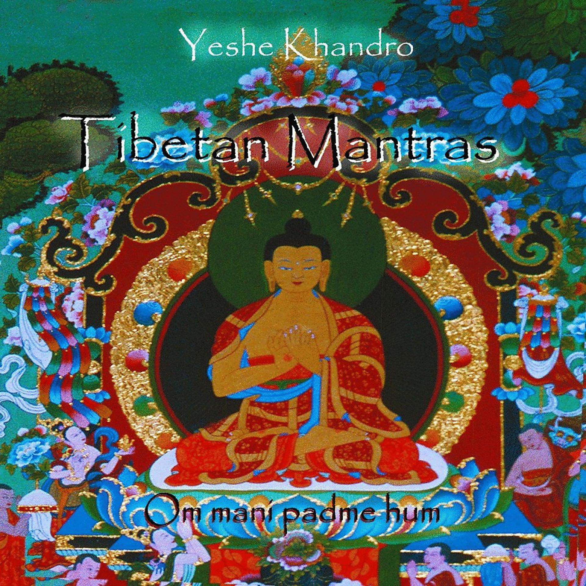 Постер альбома Om Mani Padme Hum - Tibetan Mantras