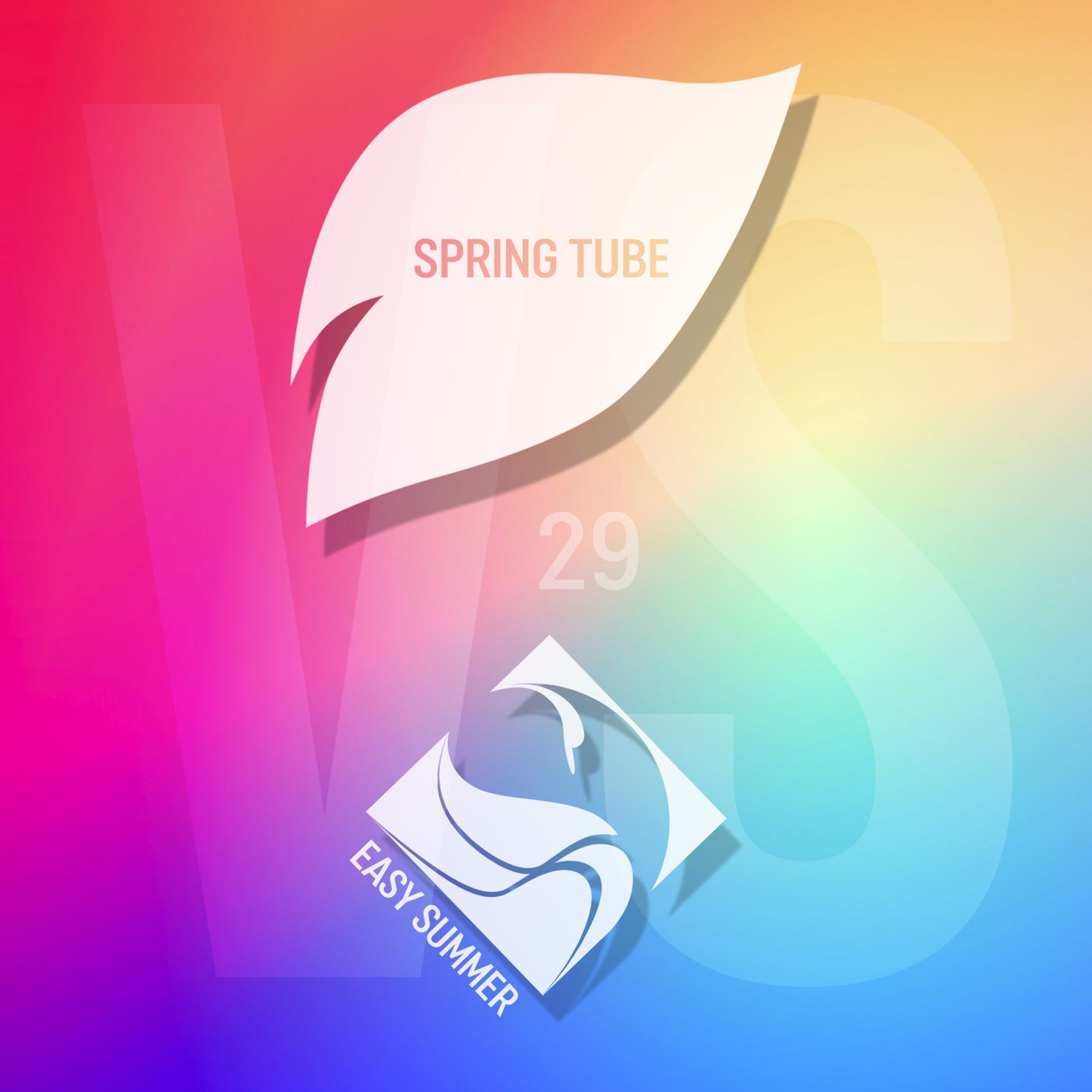 Постер альбома Spring Tube vs. Easy Summer, Vol. 29