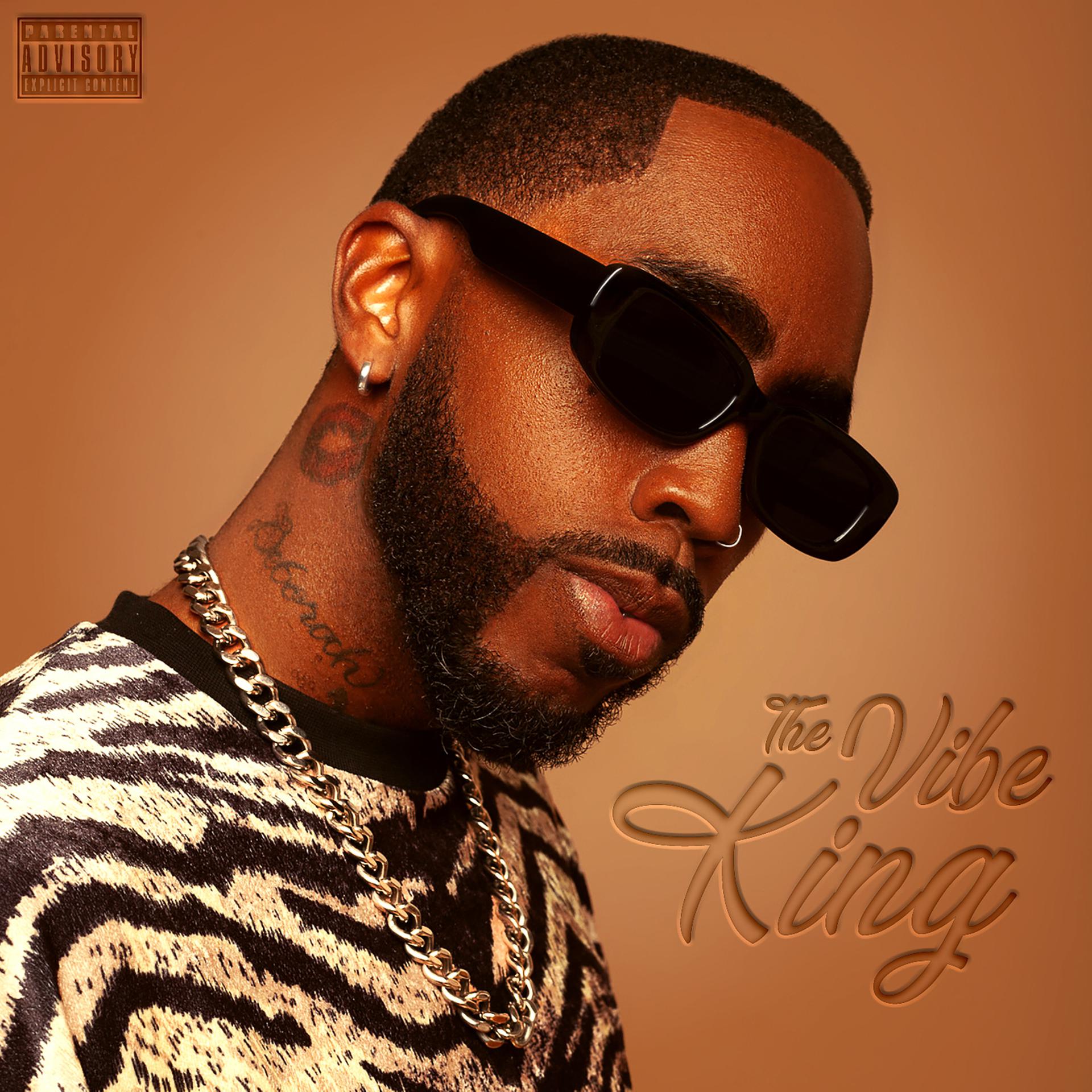 Постер альбома The Vibe King
