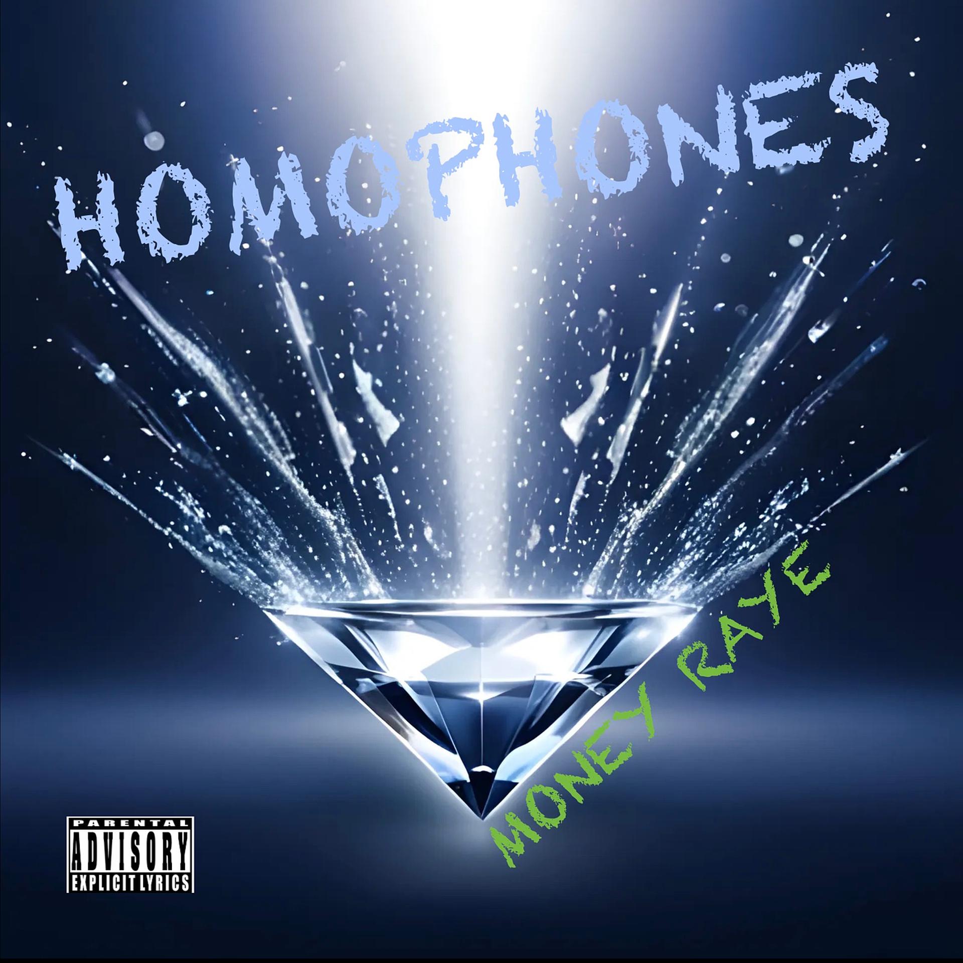 Постер альбома Homophones