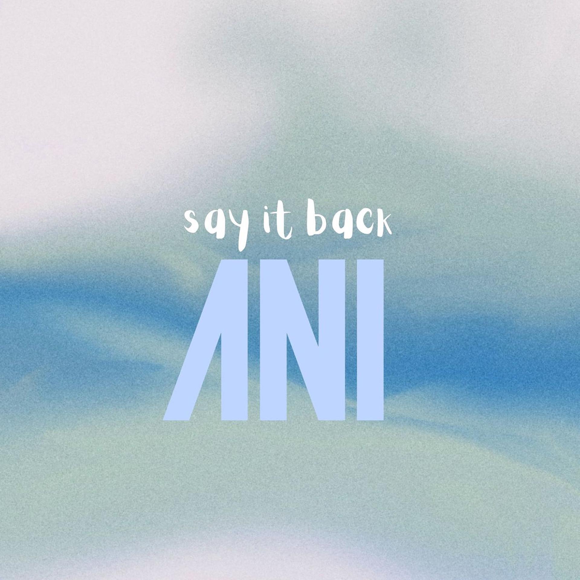 Постер альбома Say It Back