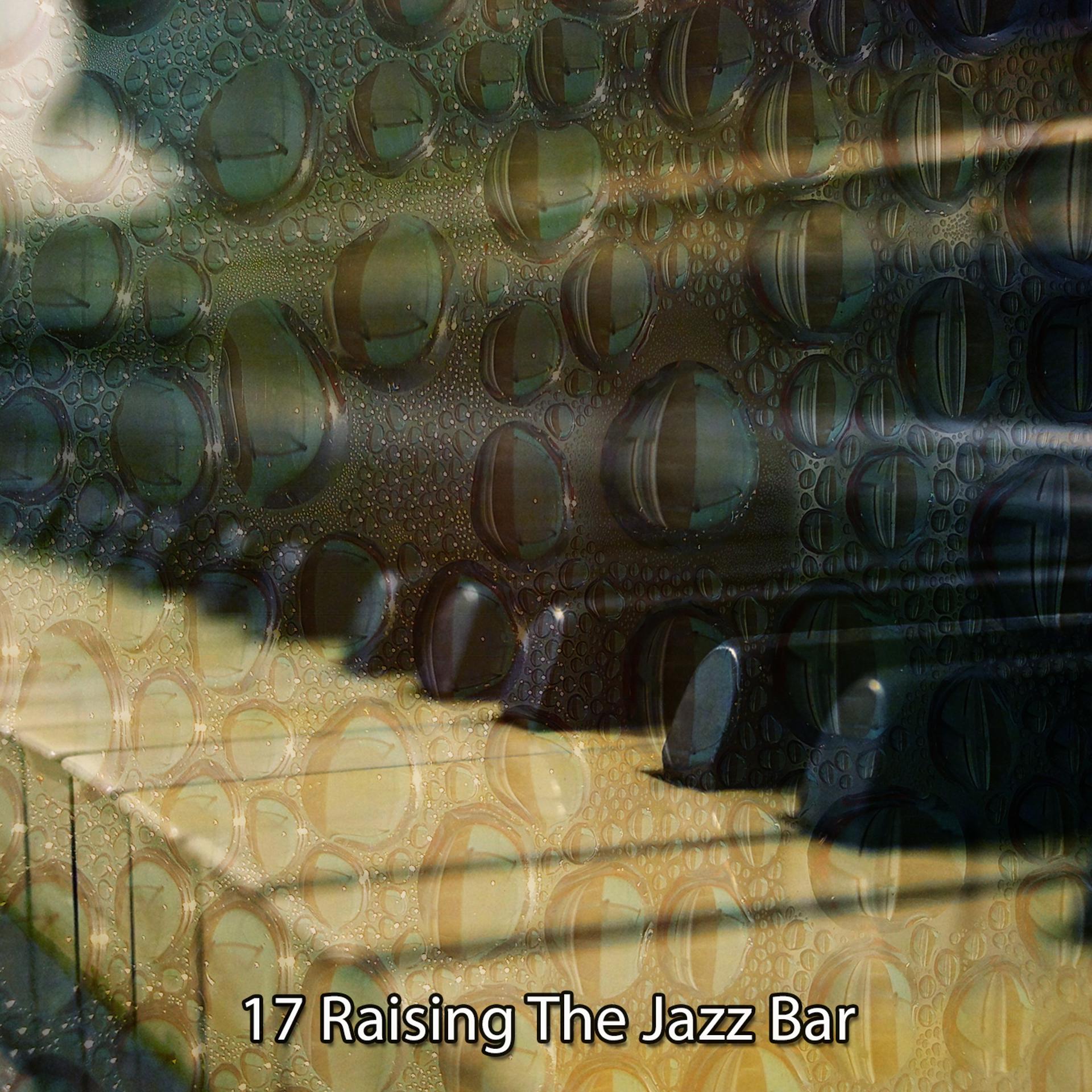 Постер альбома 17 Raising the Jazz Bar