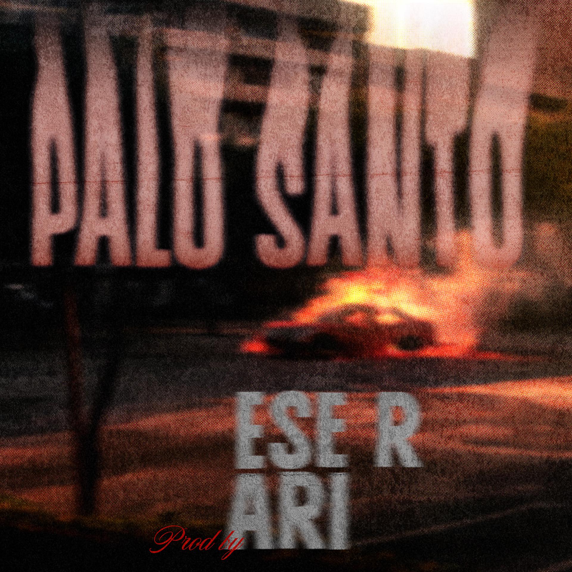 Постер альбома Palo Santo