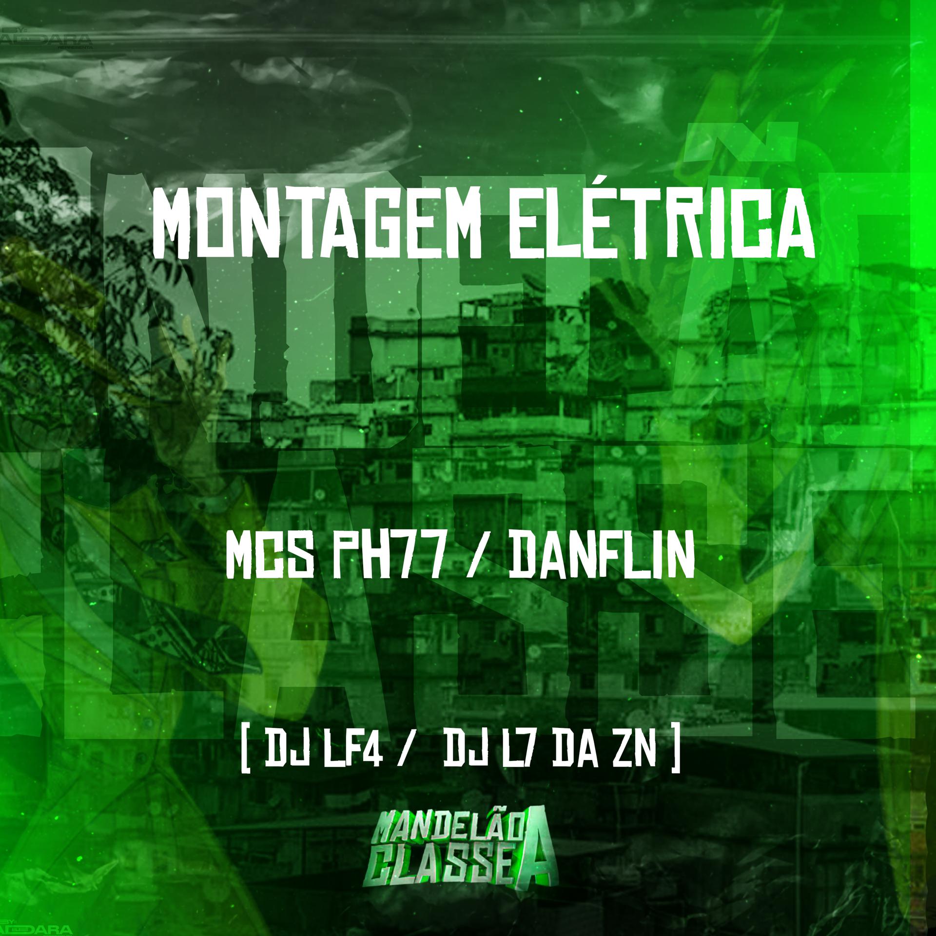 Постер альбома Montagem Elétrica