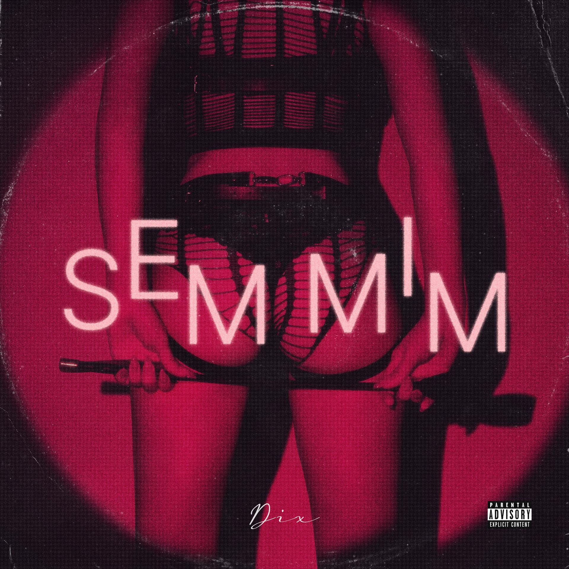 Постер альбома Sem Mim