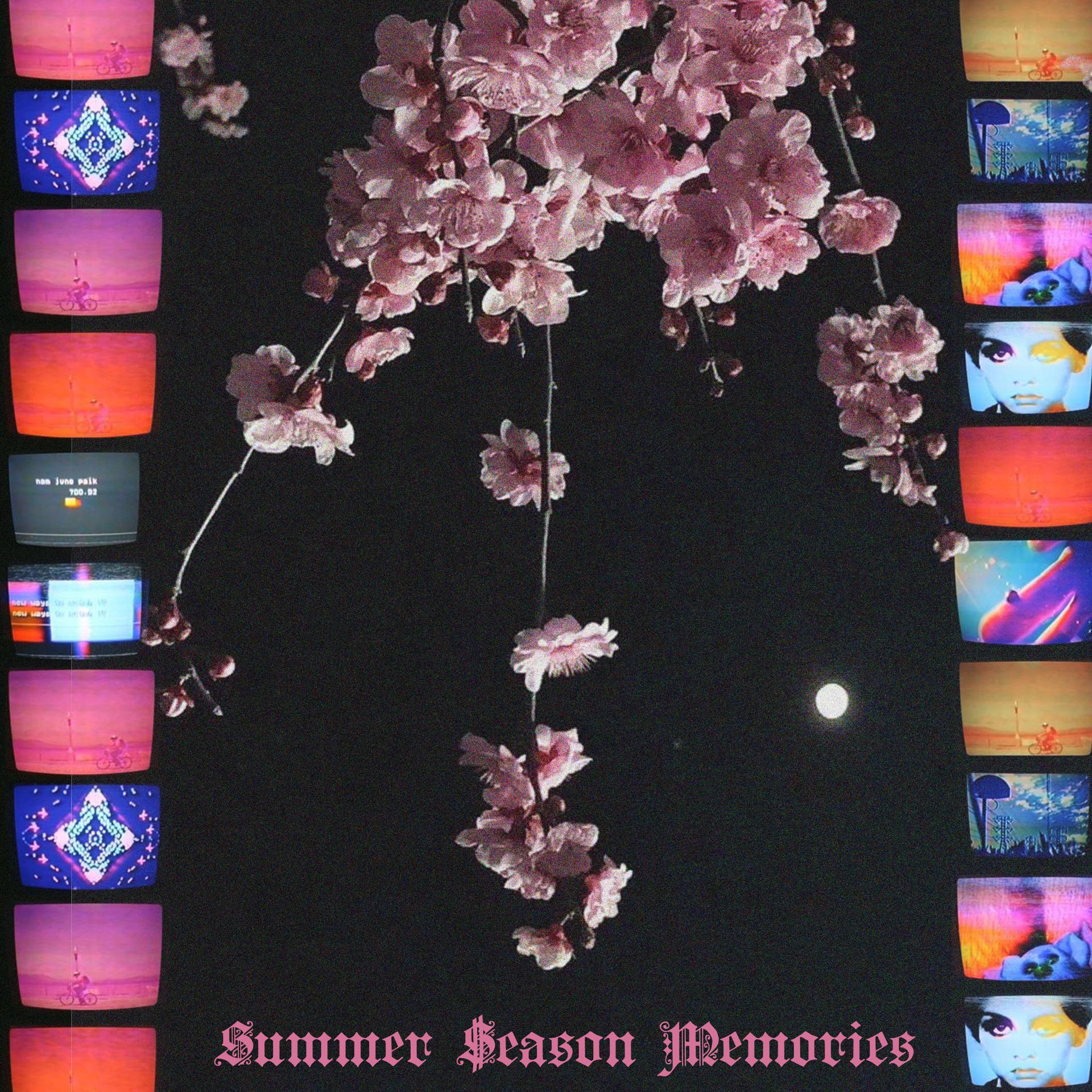 Постер альбома Summer Season Memories