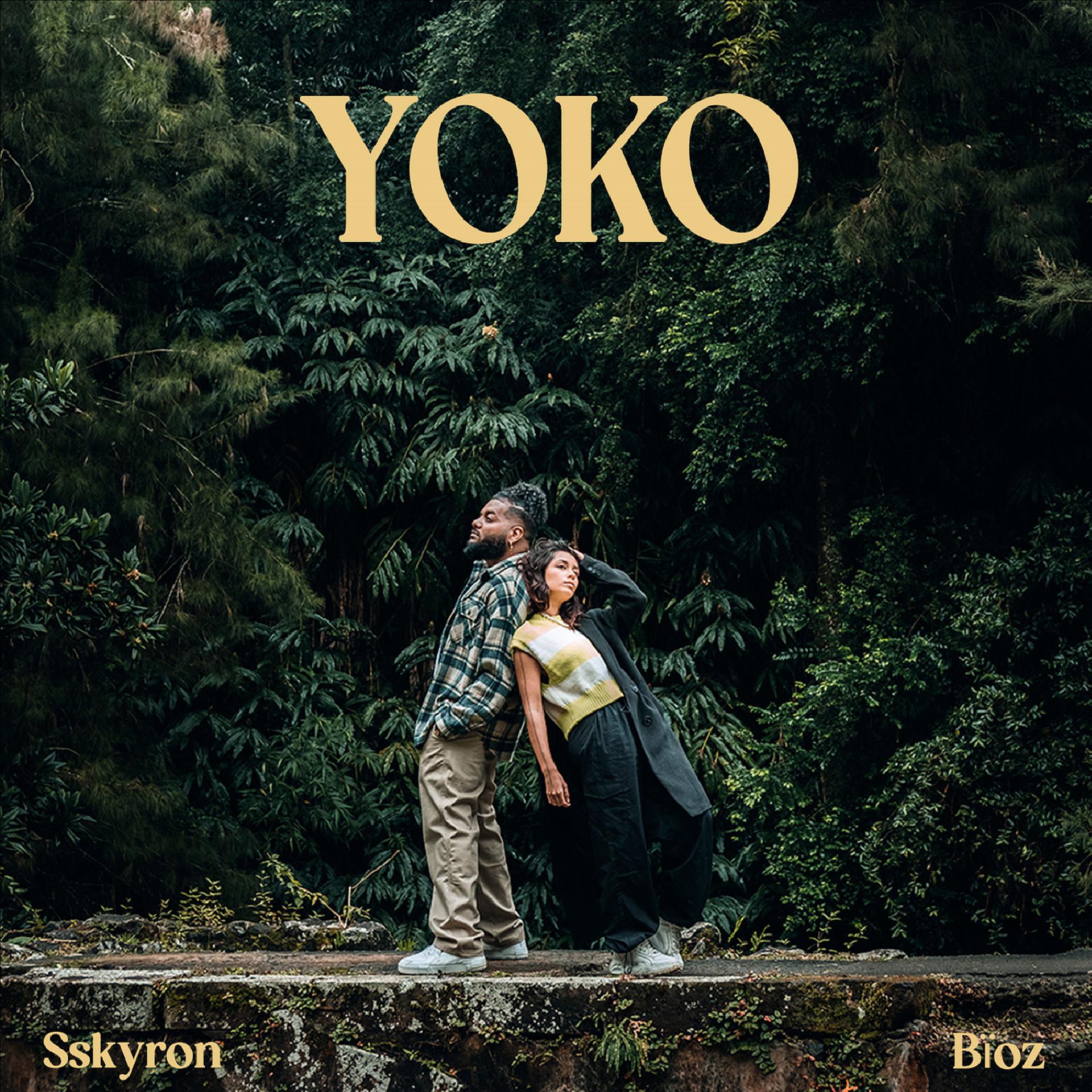 Постер альбома YOKO