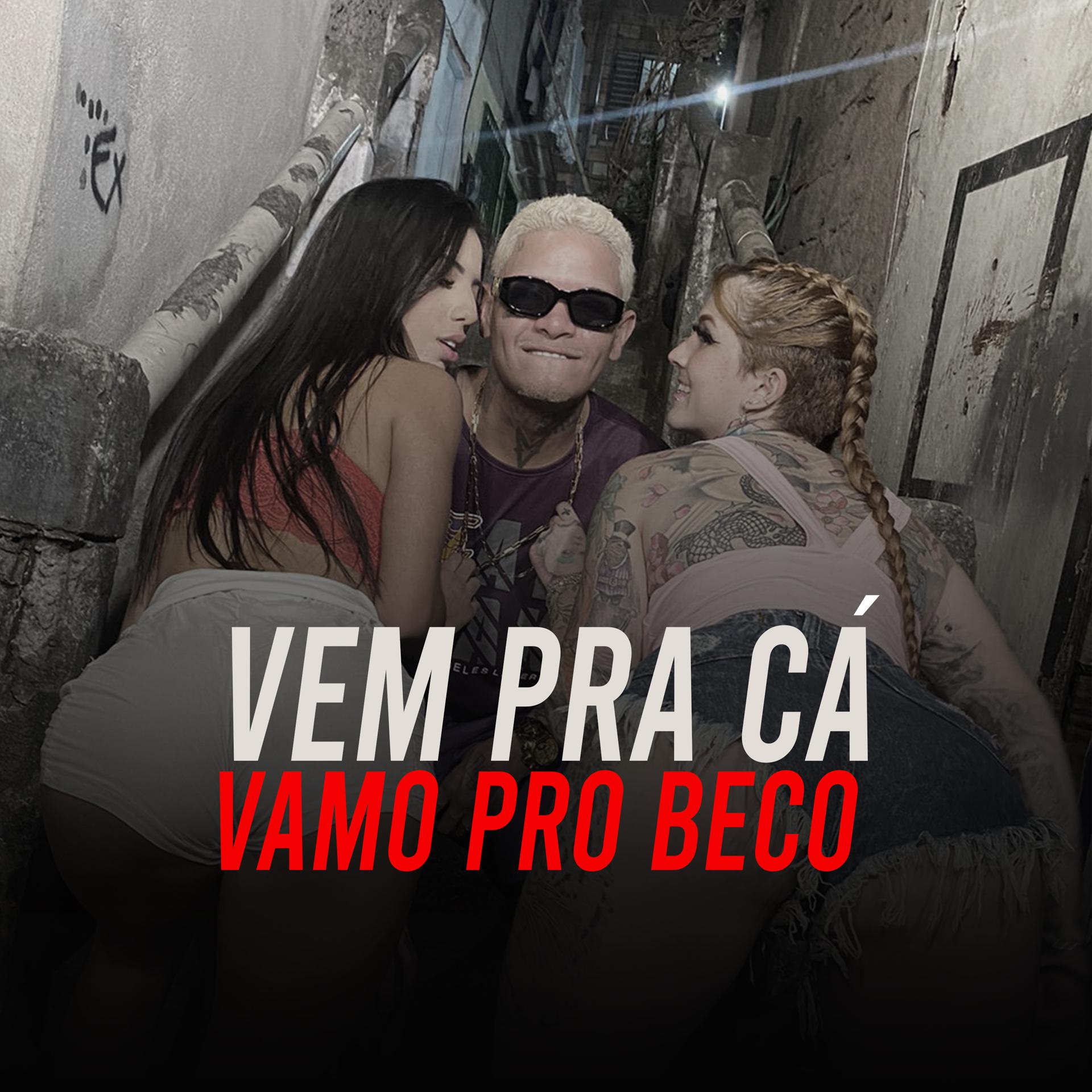 Постер альбома Vem pra Cá Vamos pro Beco