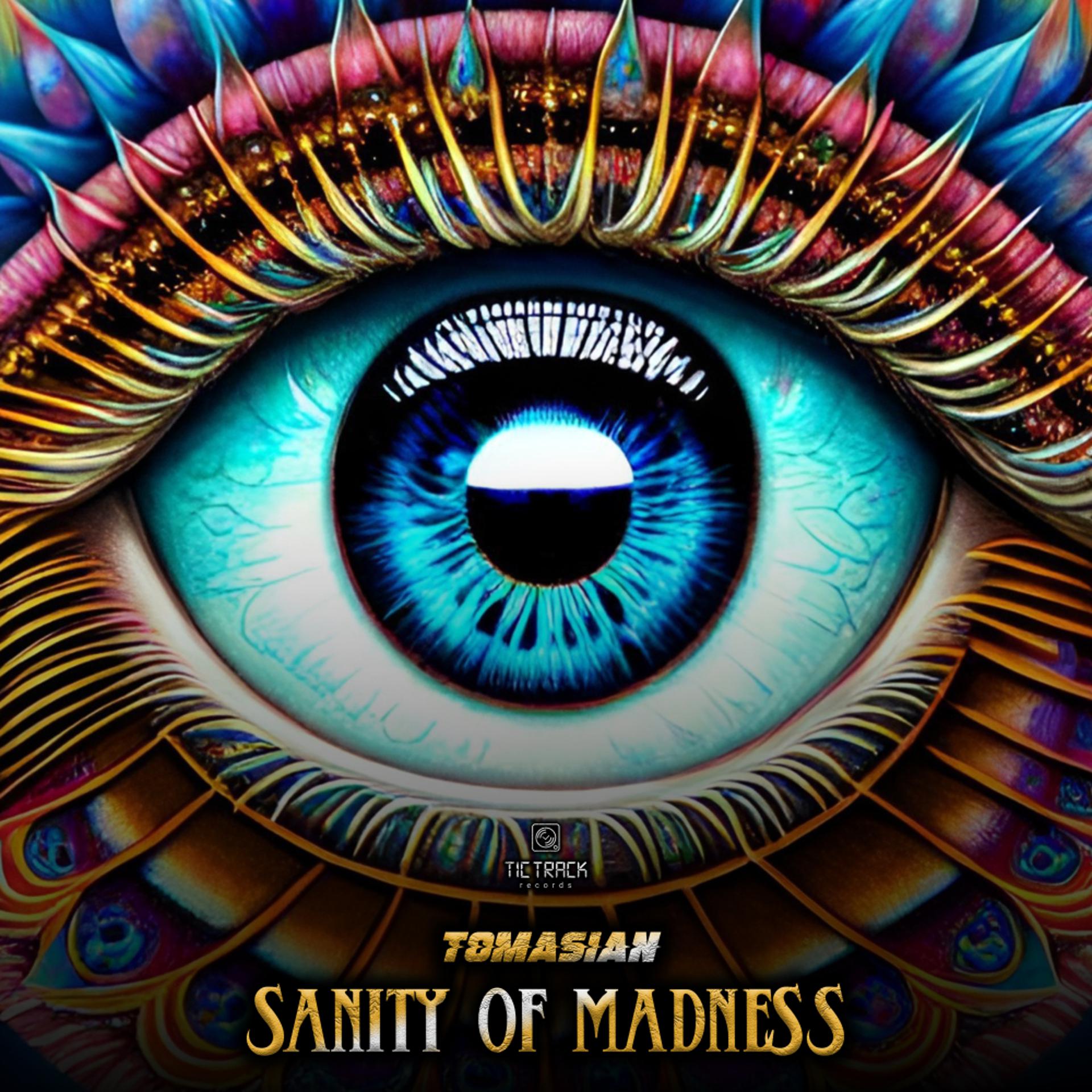 Постер альбома Sanity Of Madness