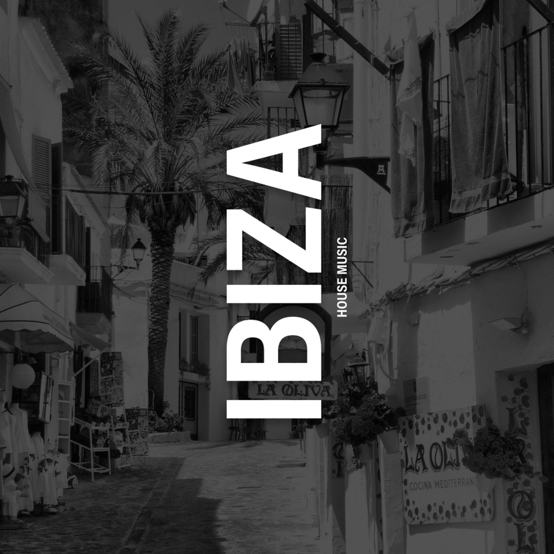 Постер альбома Ibiza House Music