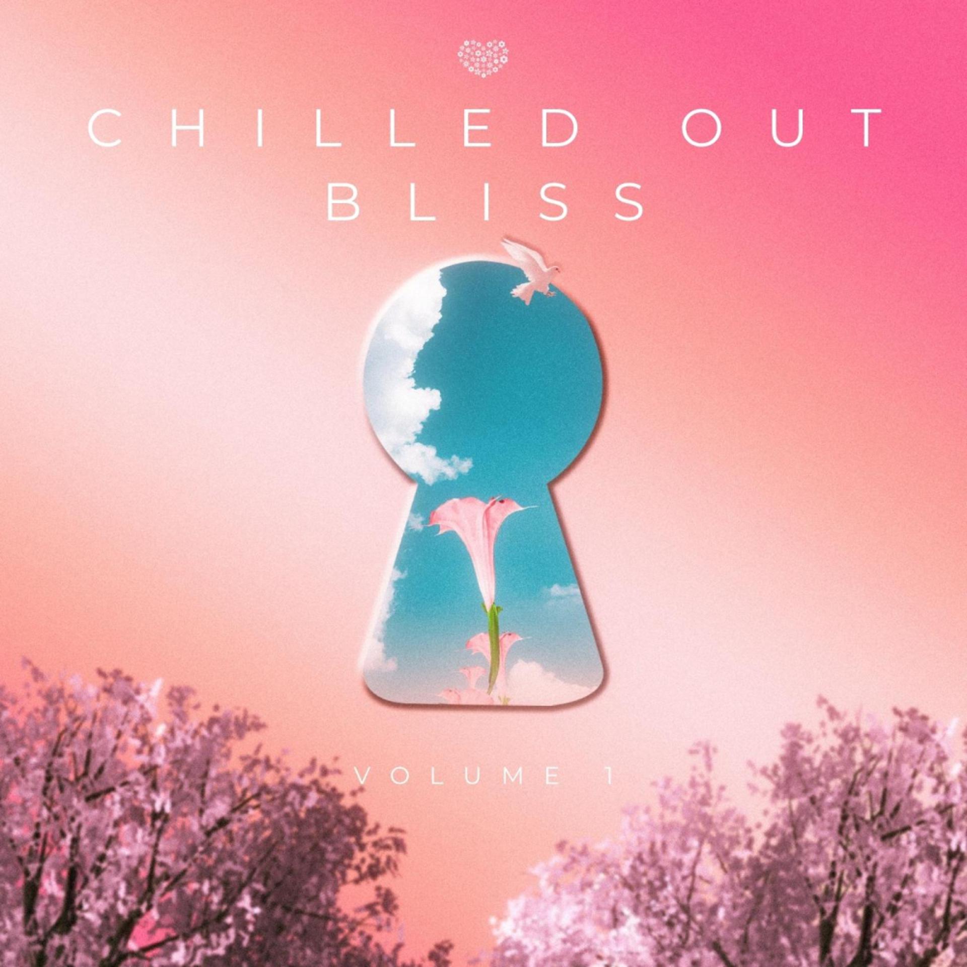 Постер альбома Chilled Out Bliss 001