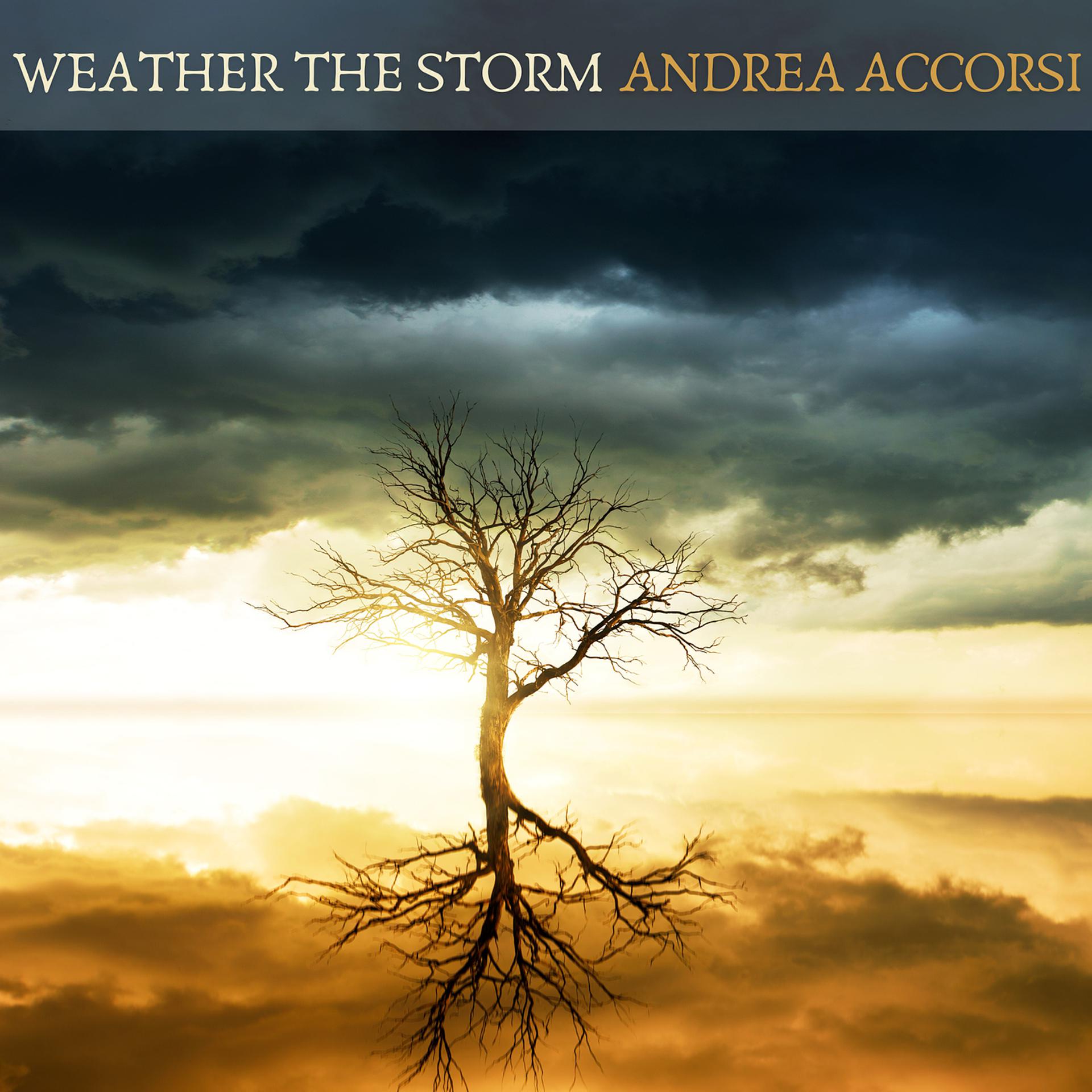 Постер альбома Weather the Storm