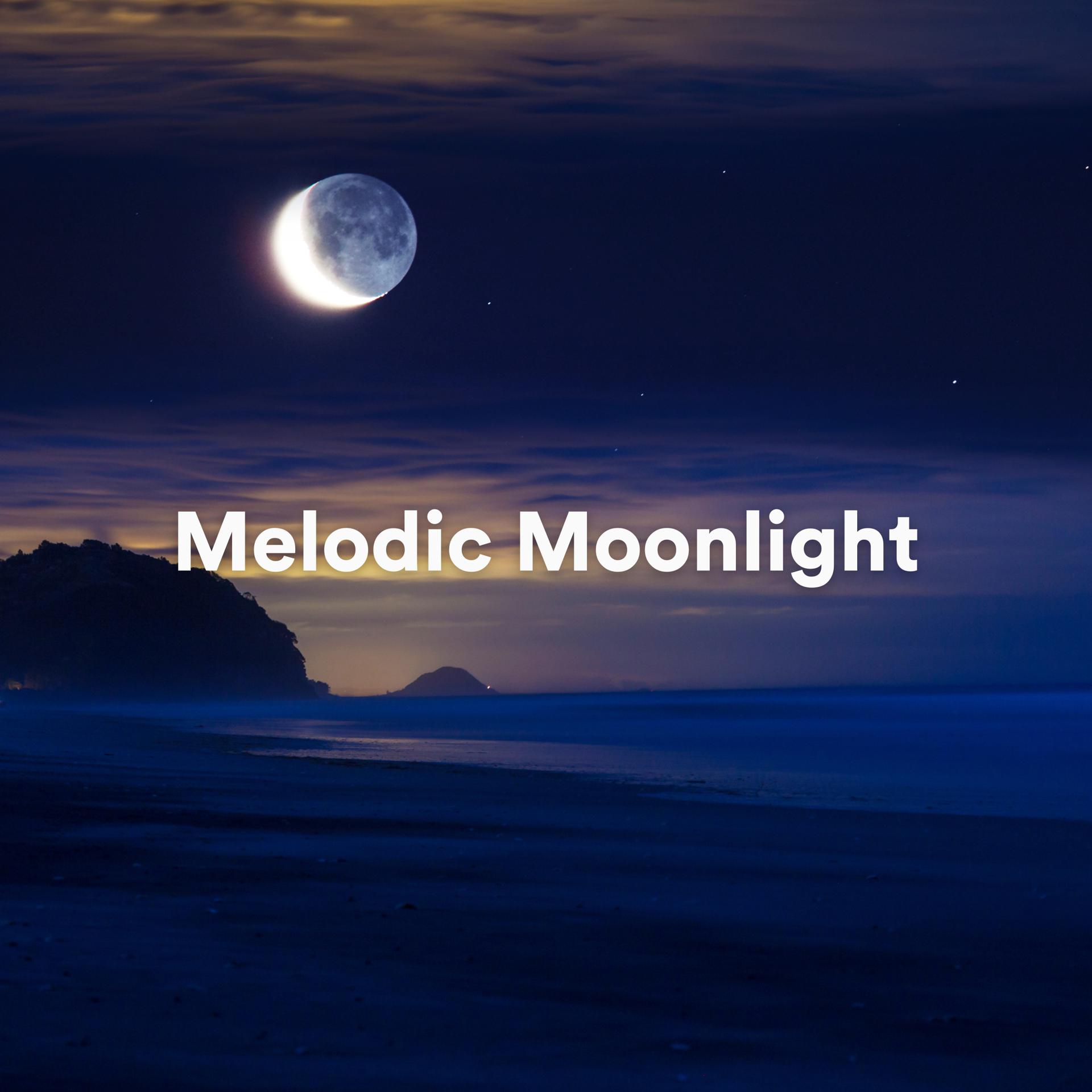 Постер альбома Melodic Moonlight