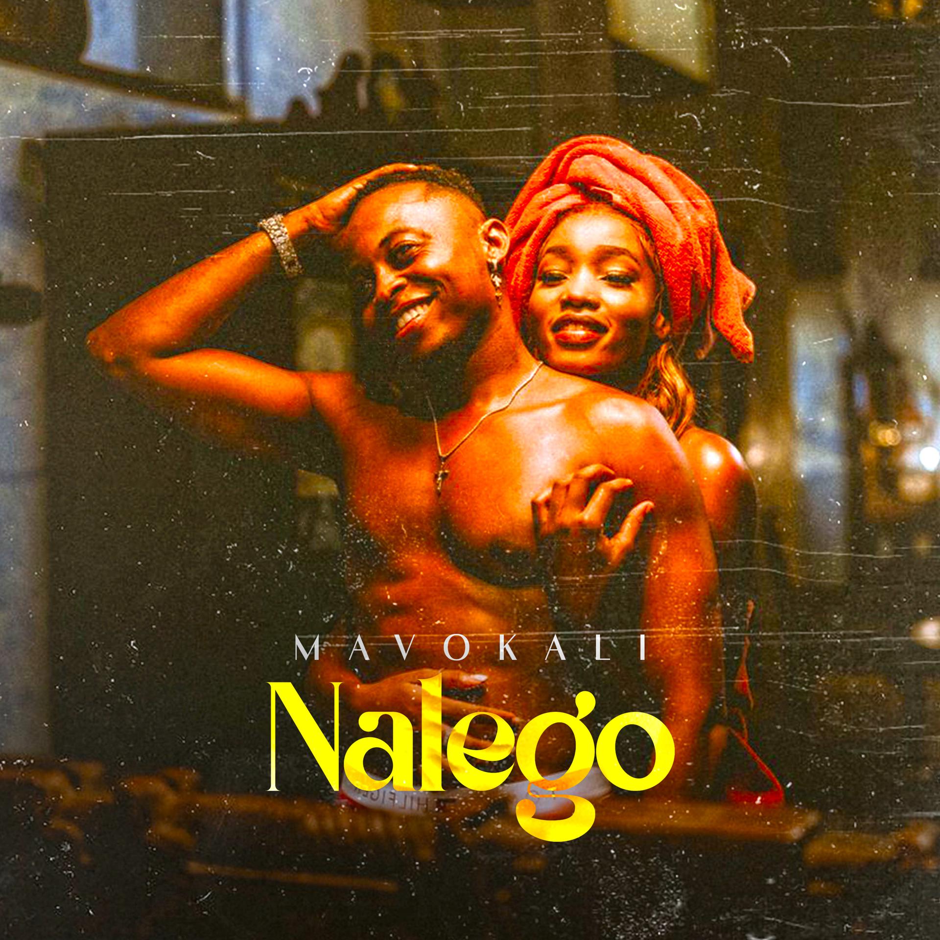 Постер альбома Nalego