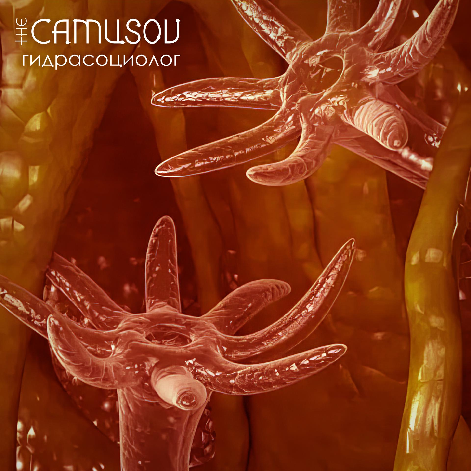 Постер альбома Гидрасоциолог