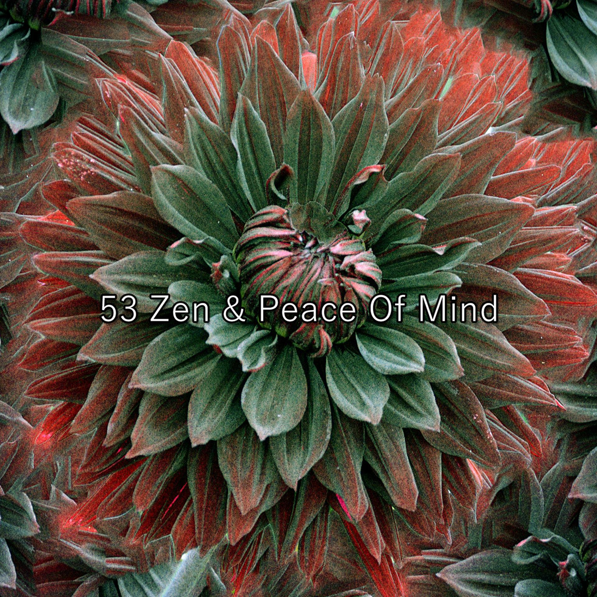 Постер альбома 53 Zen & Peace Of Mind