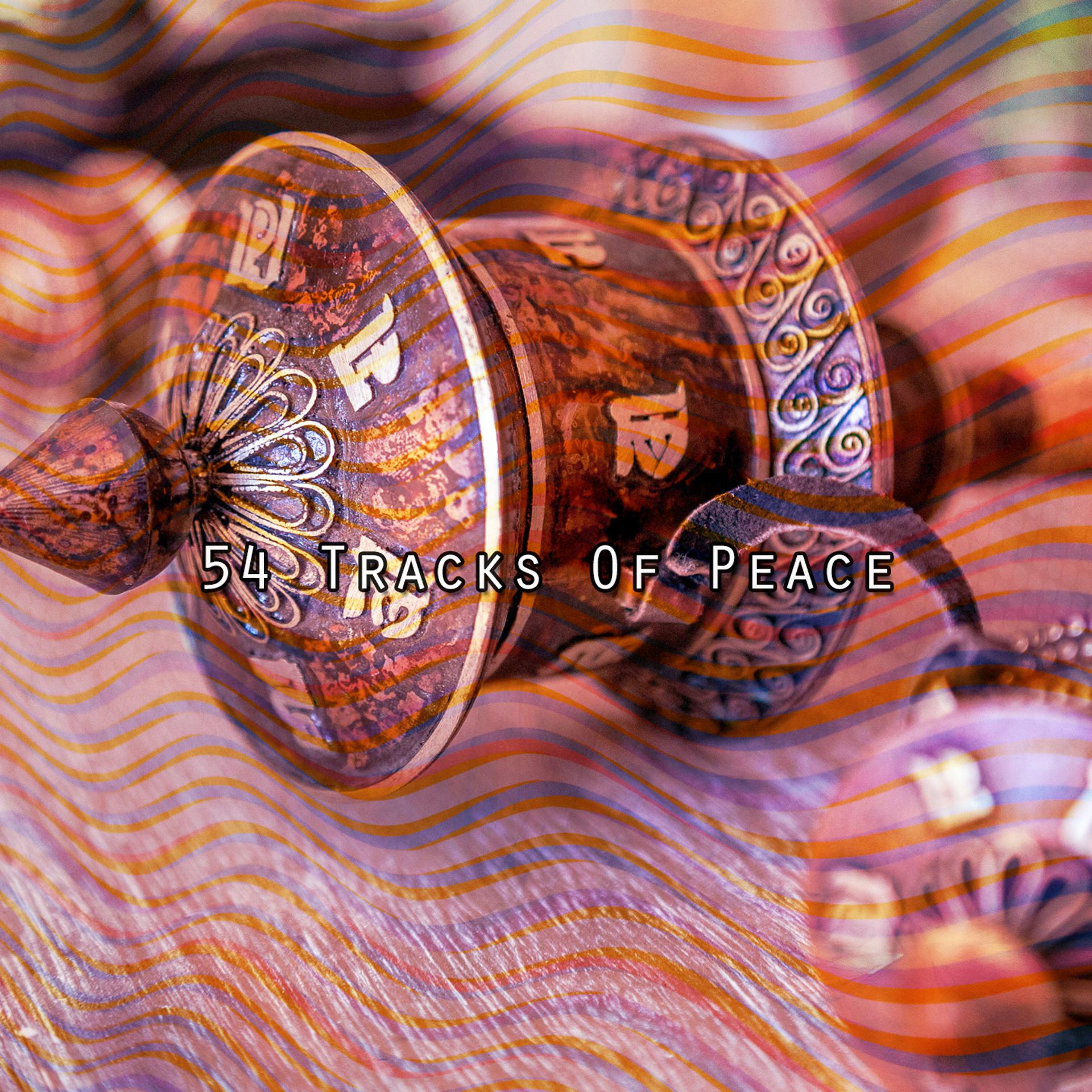 Постер альбома 54 Tracks Of Peace