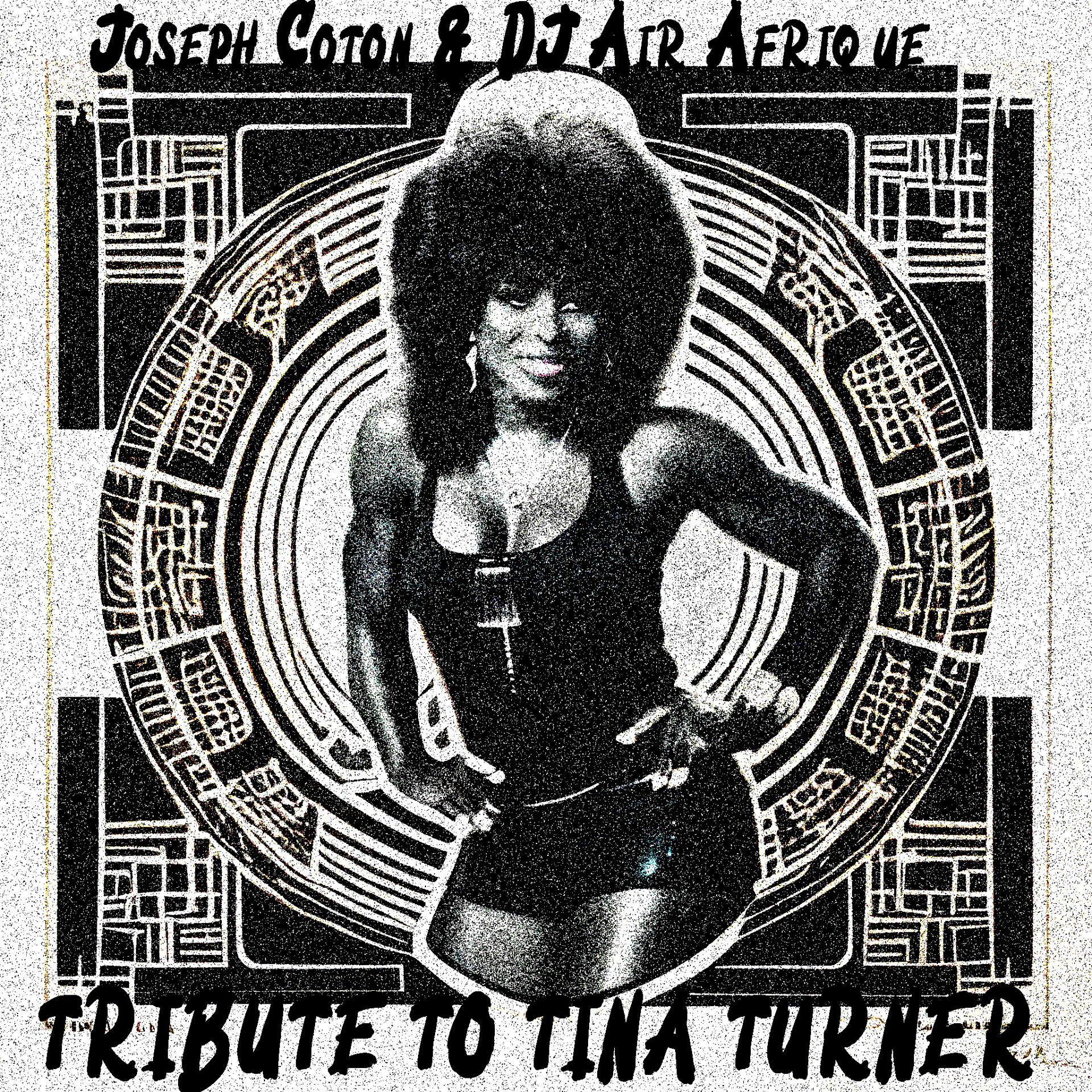 Постер альбома Tribute To Tina Turner