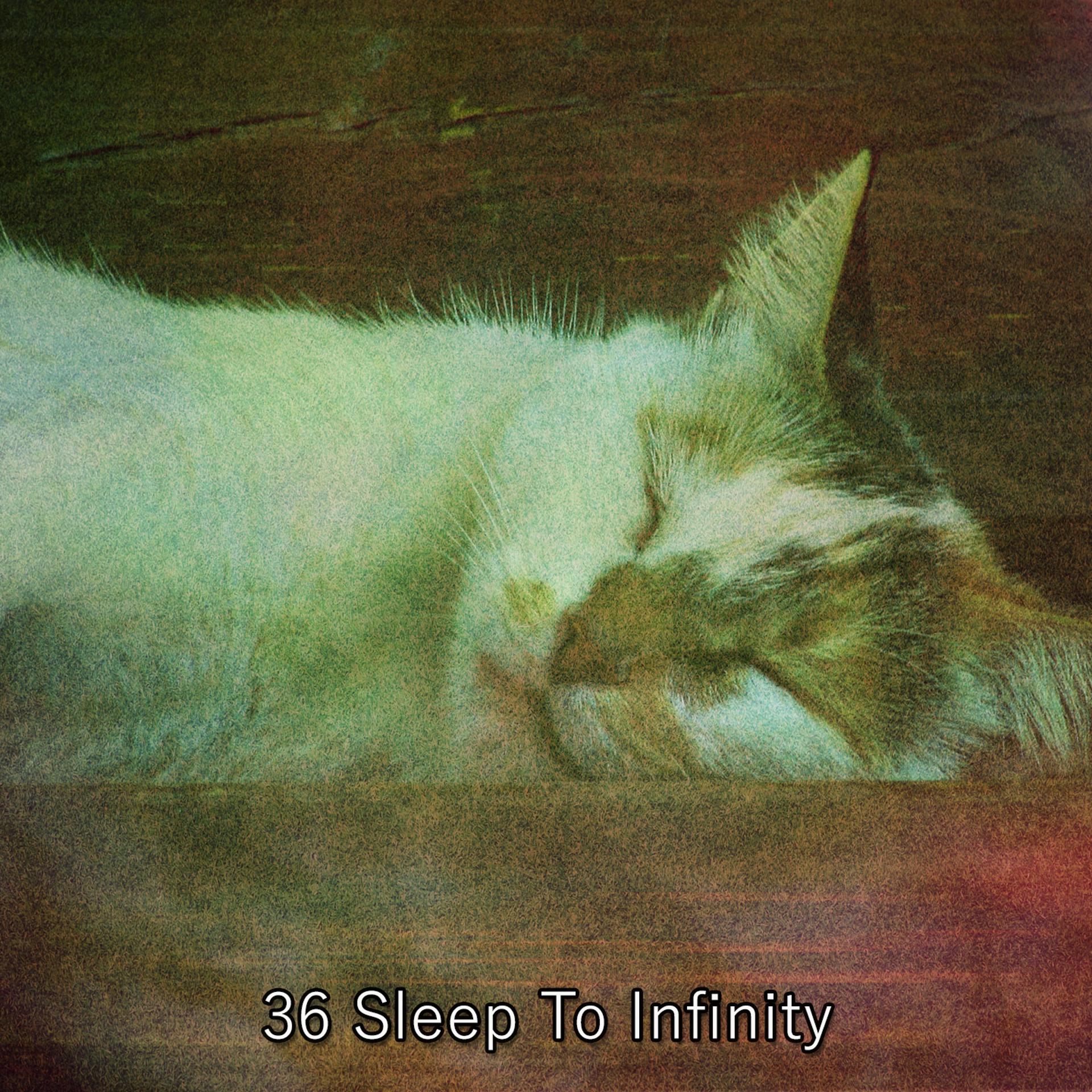 Постер альбома 36 Sleep To Infinity