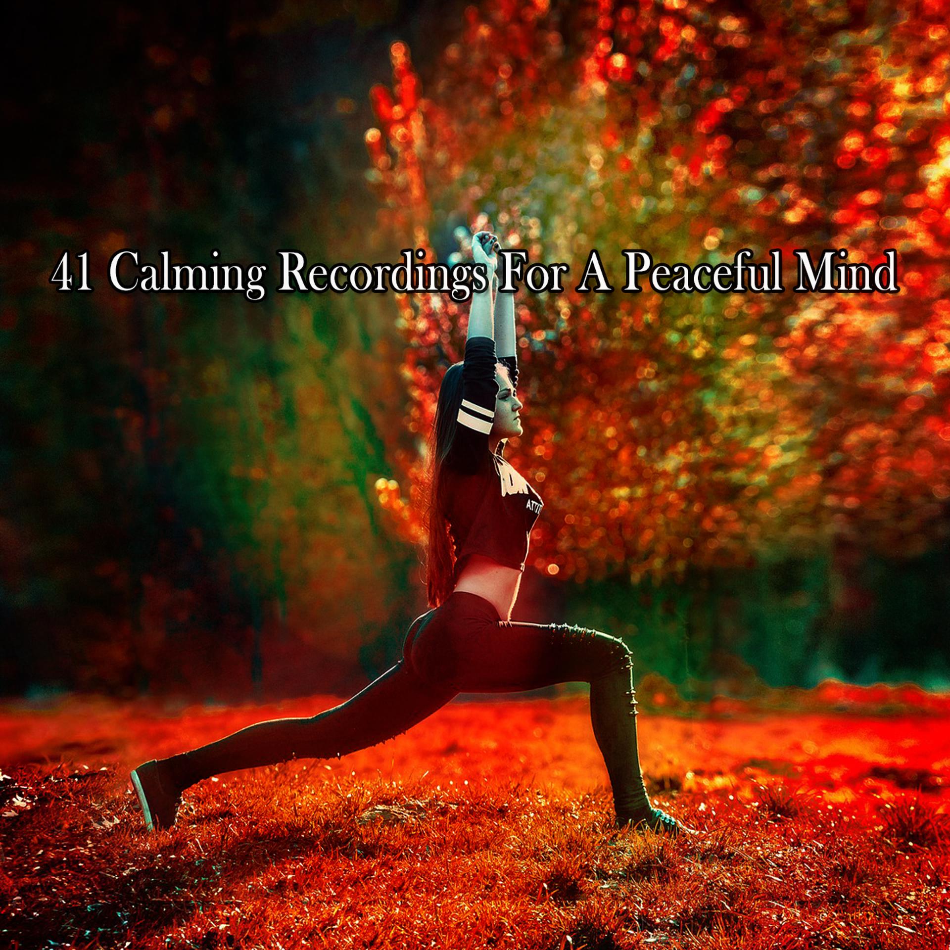 Постер альбома 41 Calming Recordings For A Peaceful Mind