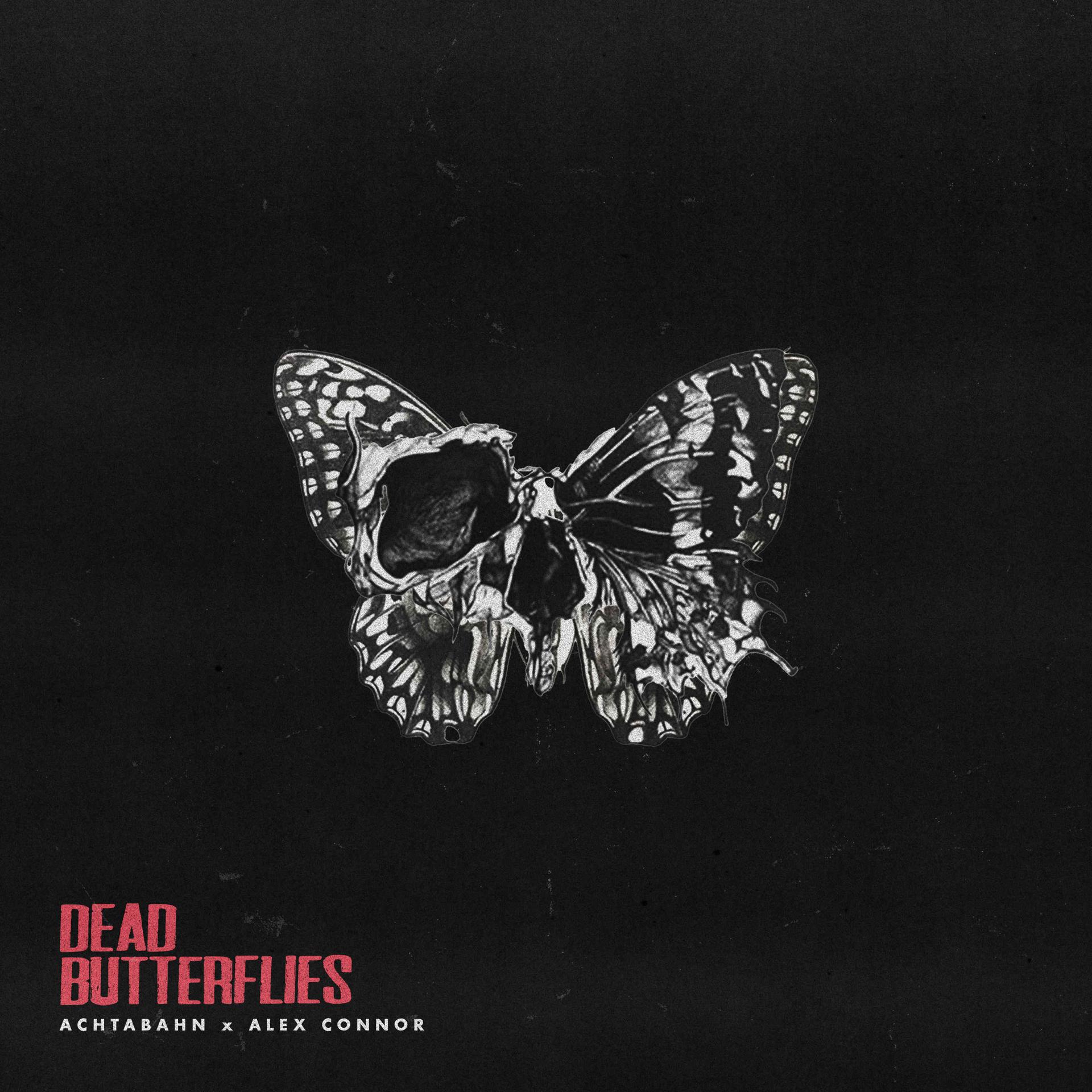 Постер альбома Dead Butterflies 🦋