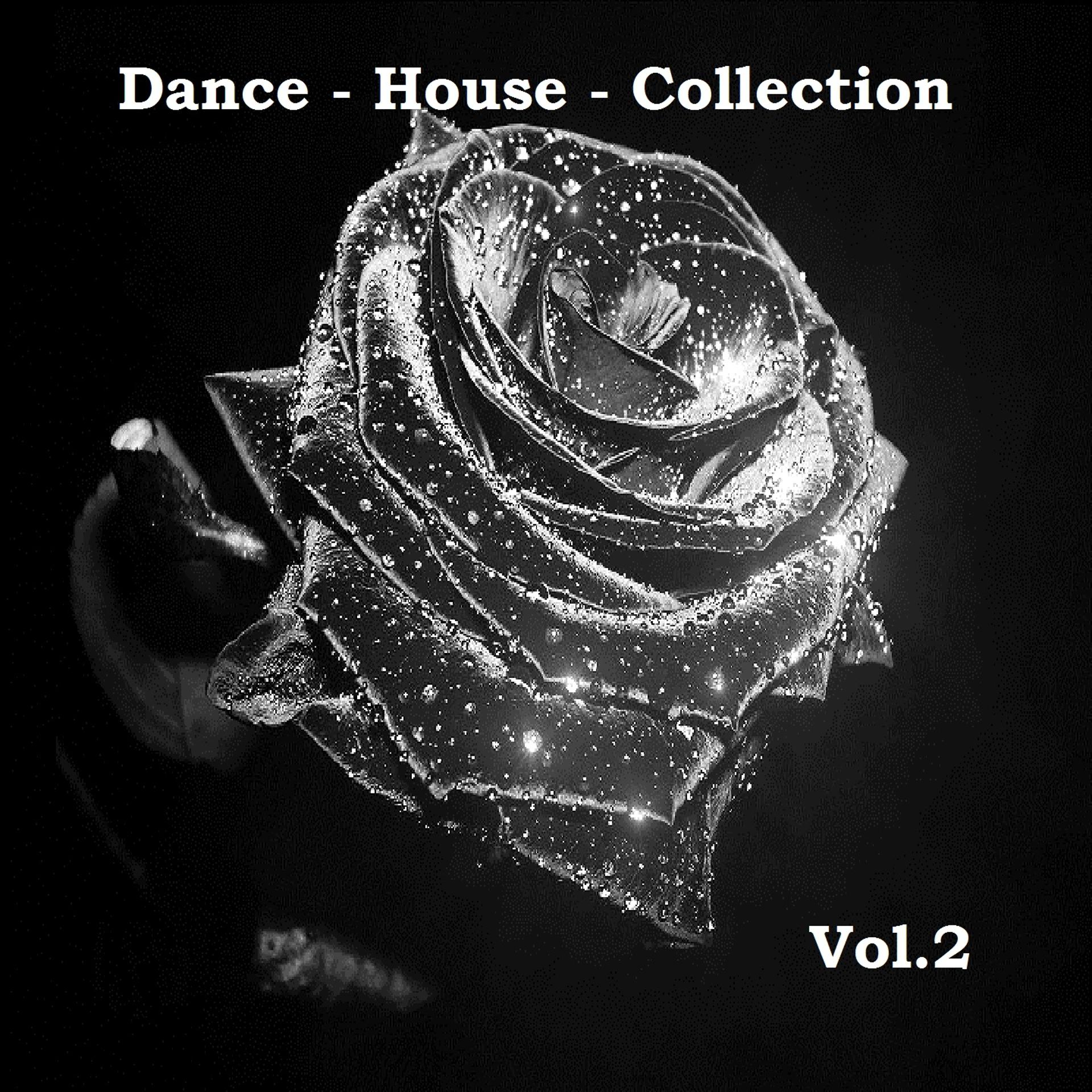 Постер альбома Dance House Collection, Vol. 2