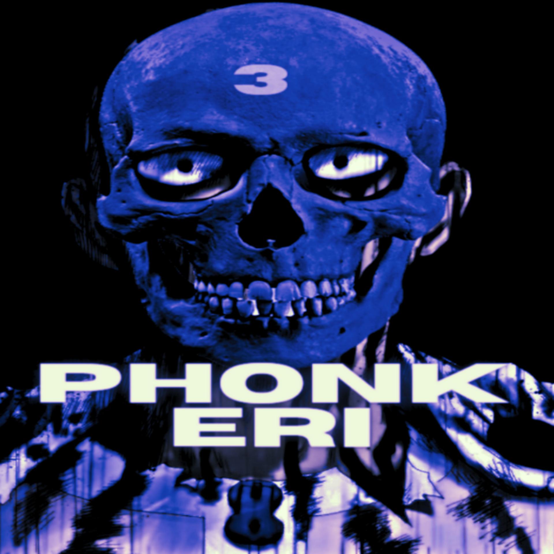 Постер альбома Phonkeri 3