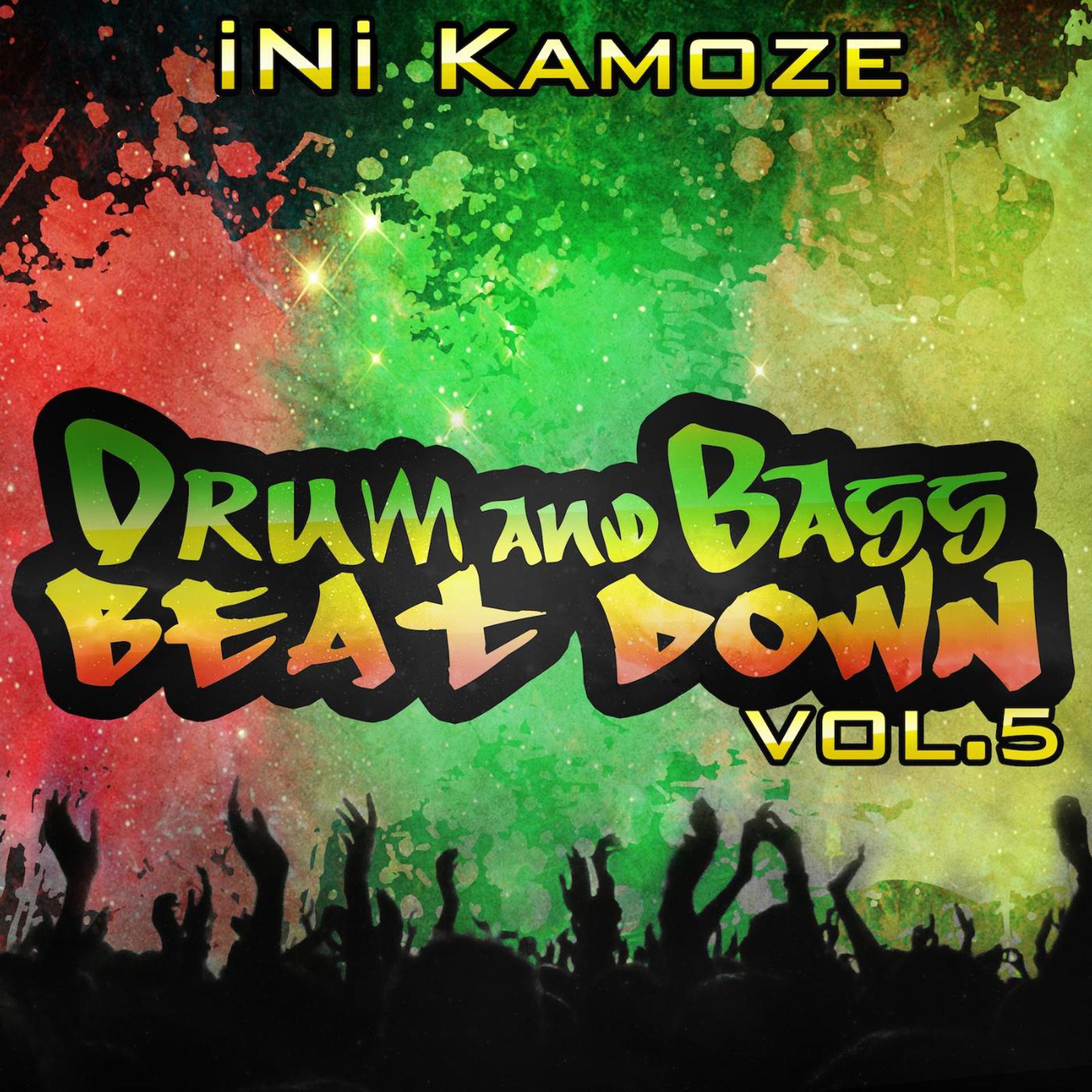 Постер альбома Drum and Bass Beat Down Vol. 5