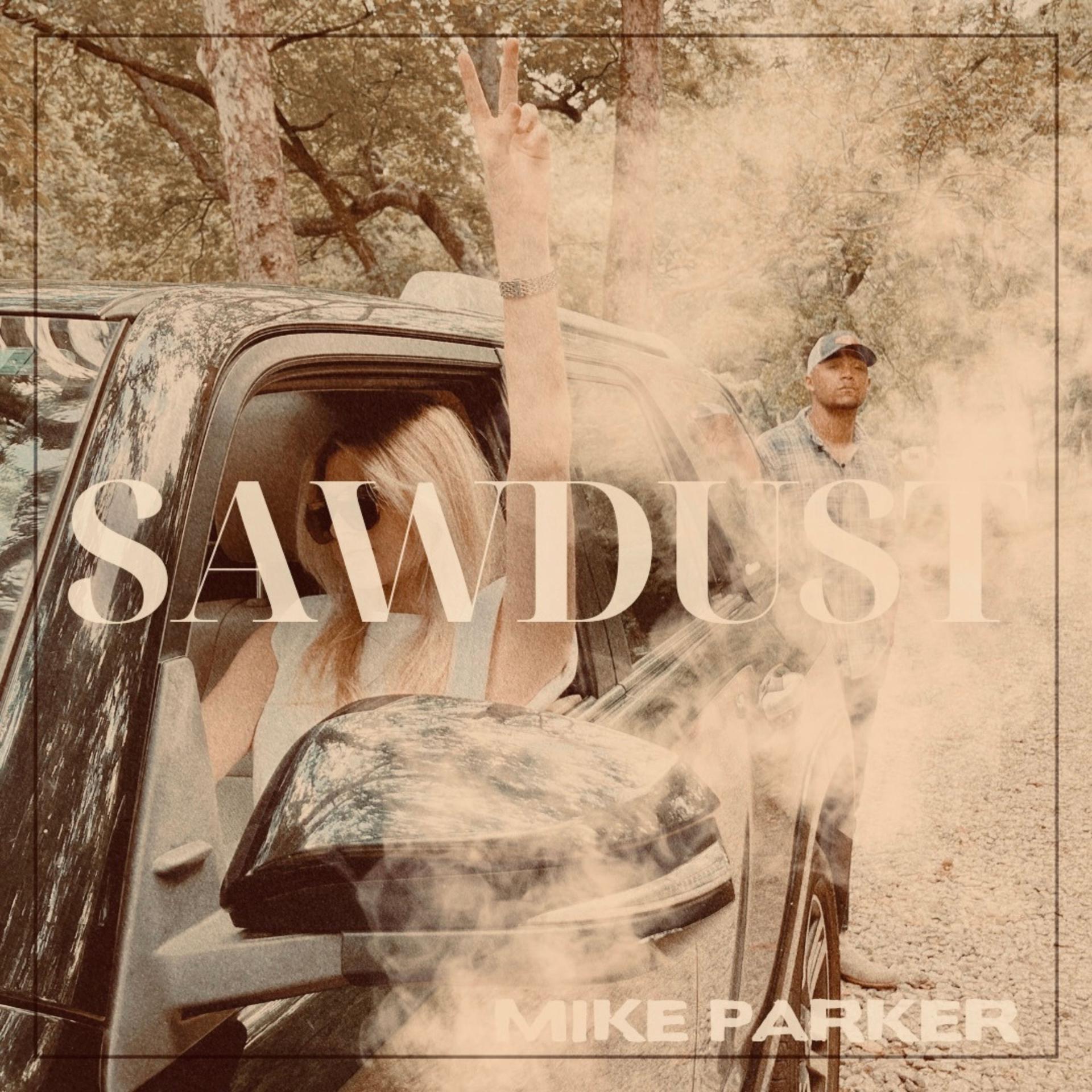 Постер альбома Sawdust