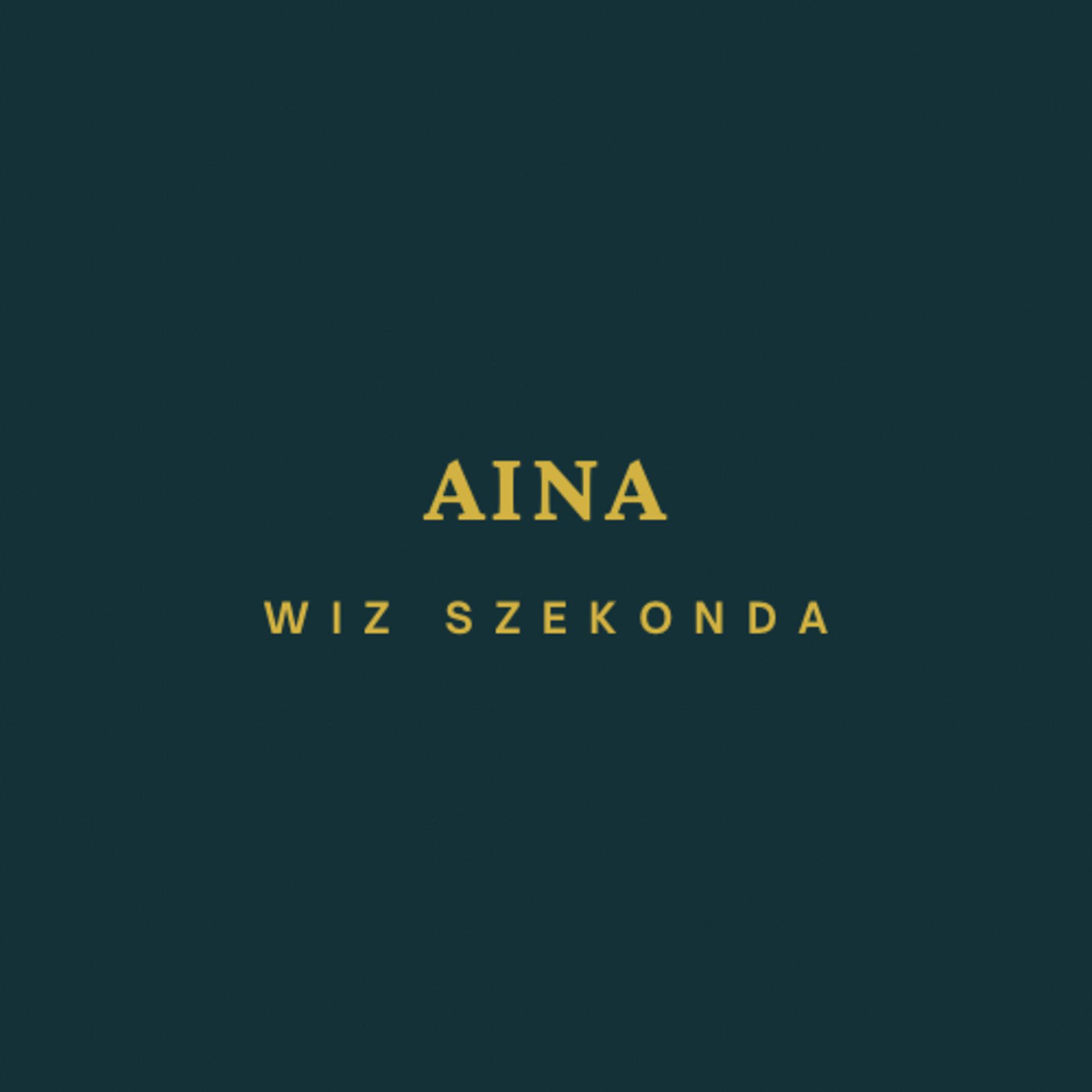 Постер альбома Aina