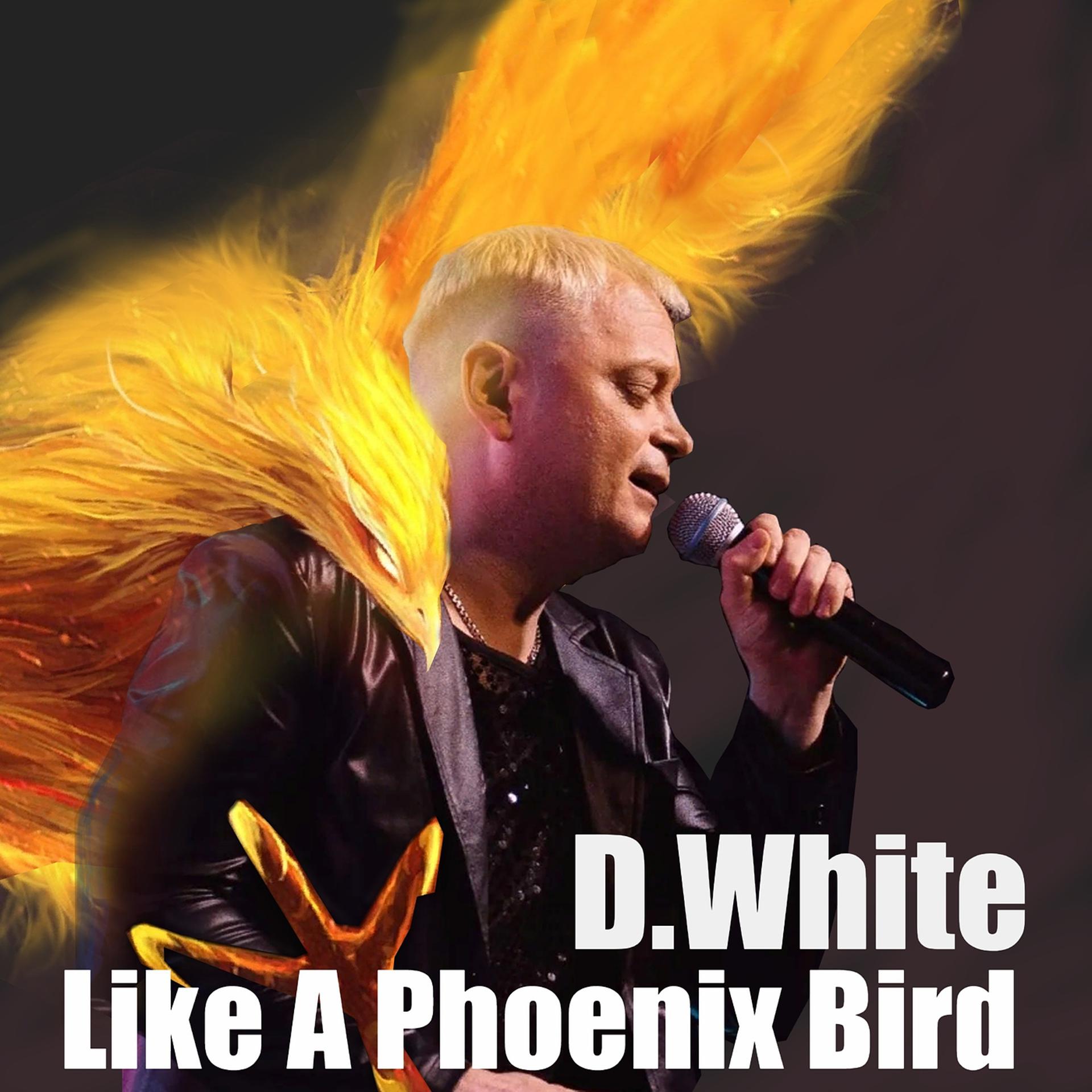 Постер альбома Like a Phoenix Bird