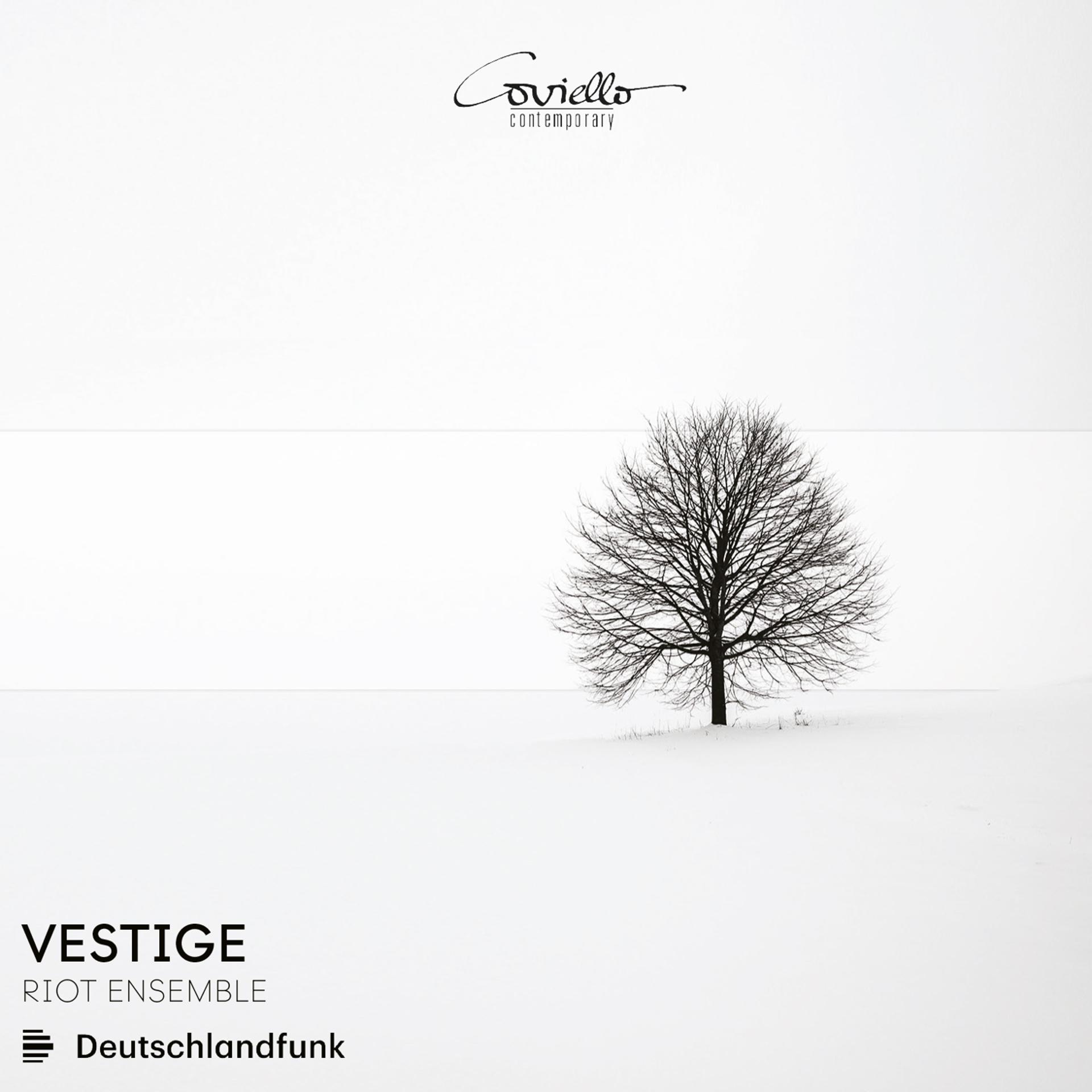 Постер альбома Vestige