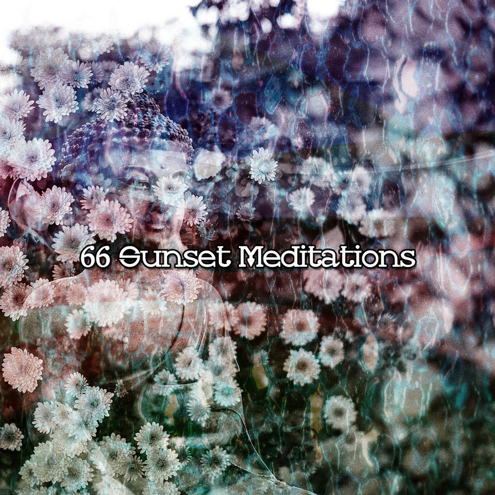 Постер альбома 66 Sunset Meditations